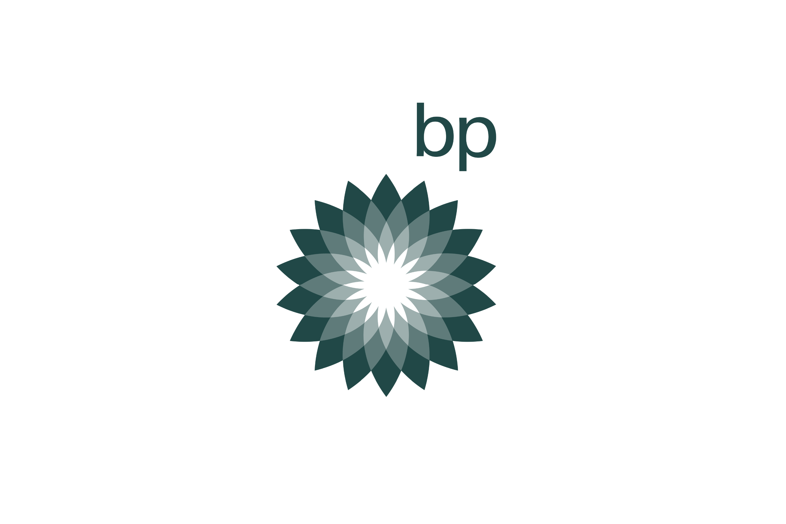 Logo Boards-35.png