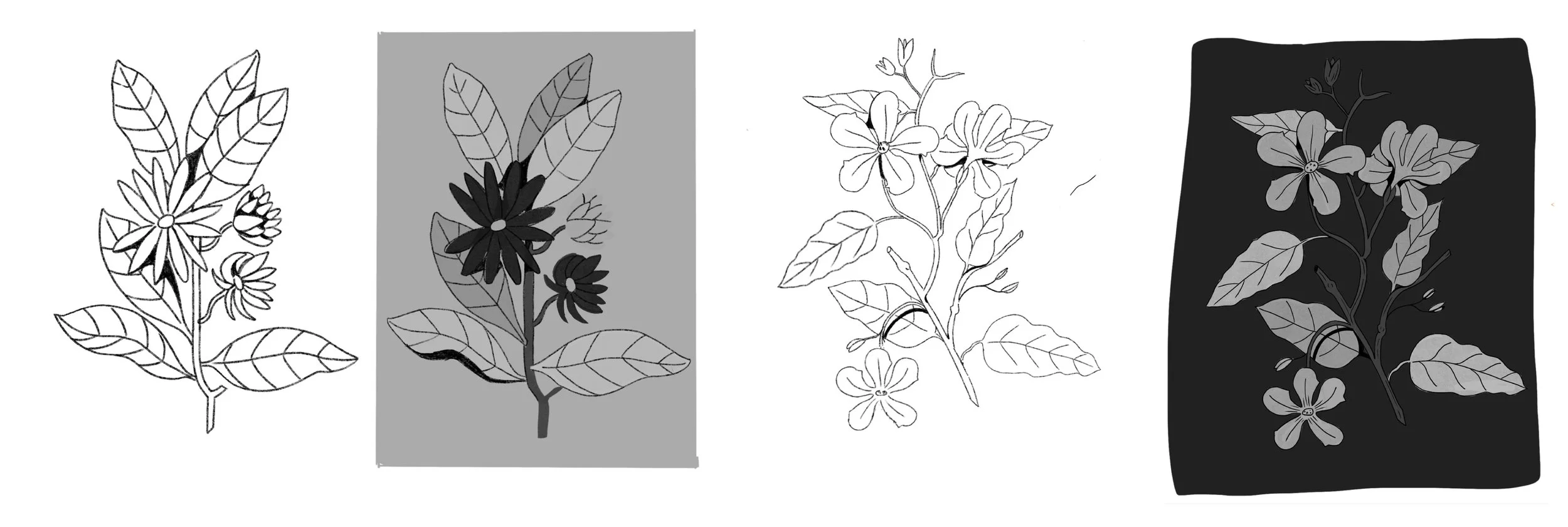 The Ultimate books of Plants and Gardens.jpg