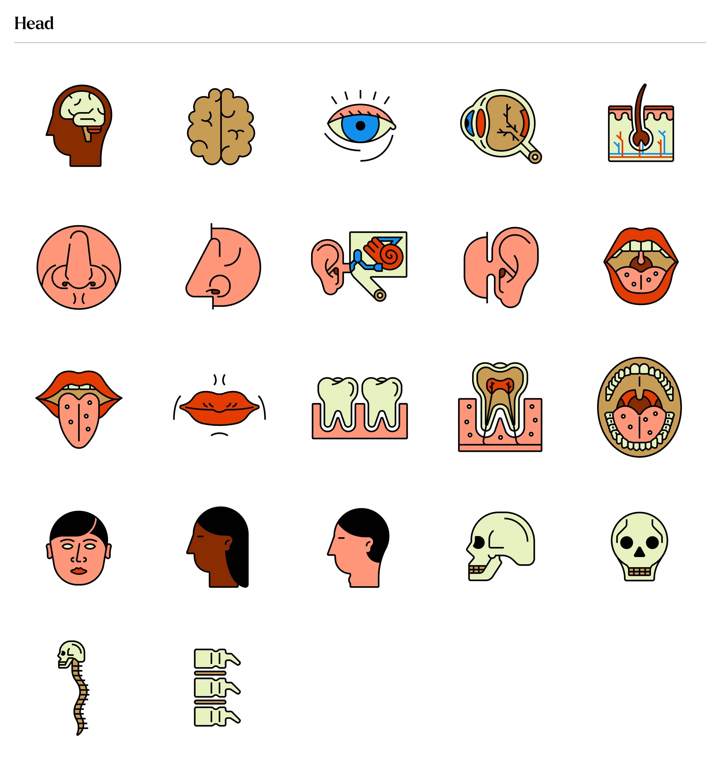 The Body Icon Set5.jpg