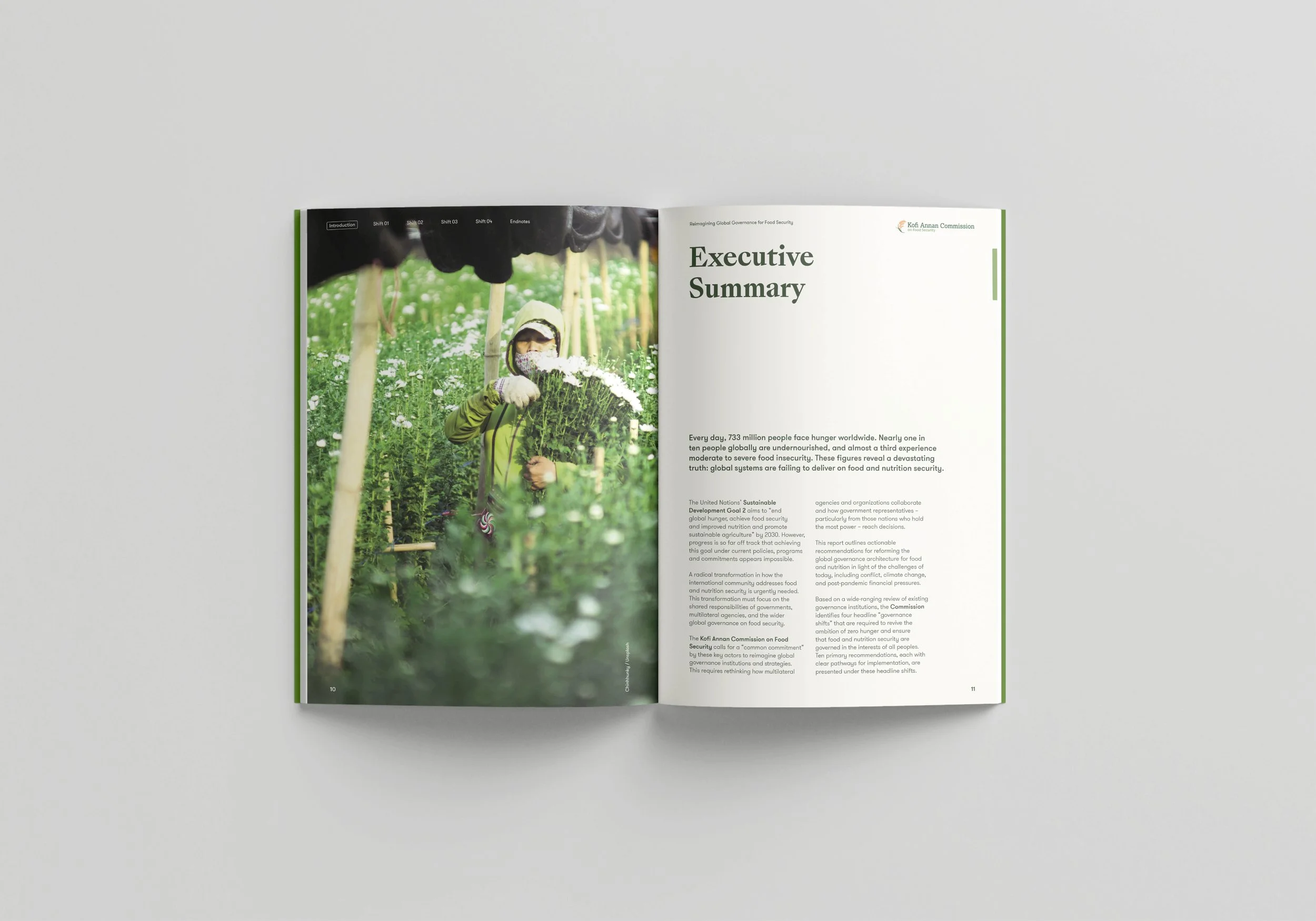 Reimagining Global Governance for Food Security5.jpg