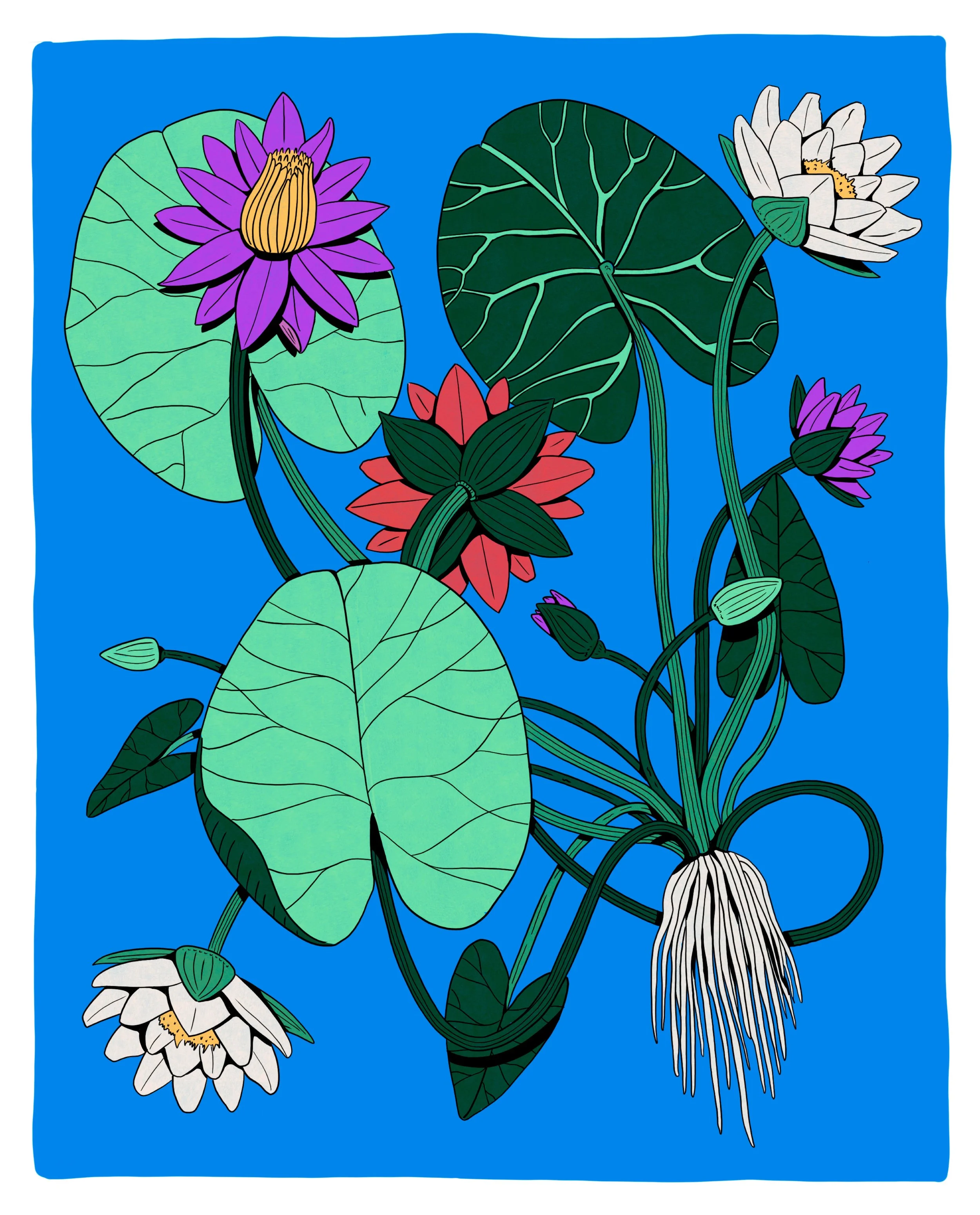 The-Ultimate-books-of-Plants-and-Gardens9.jpg