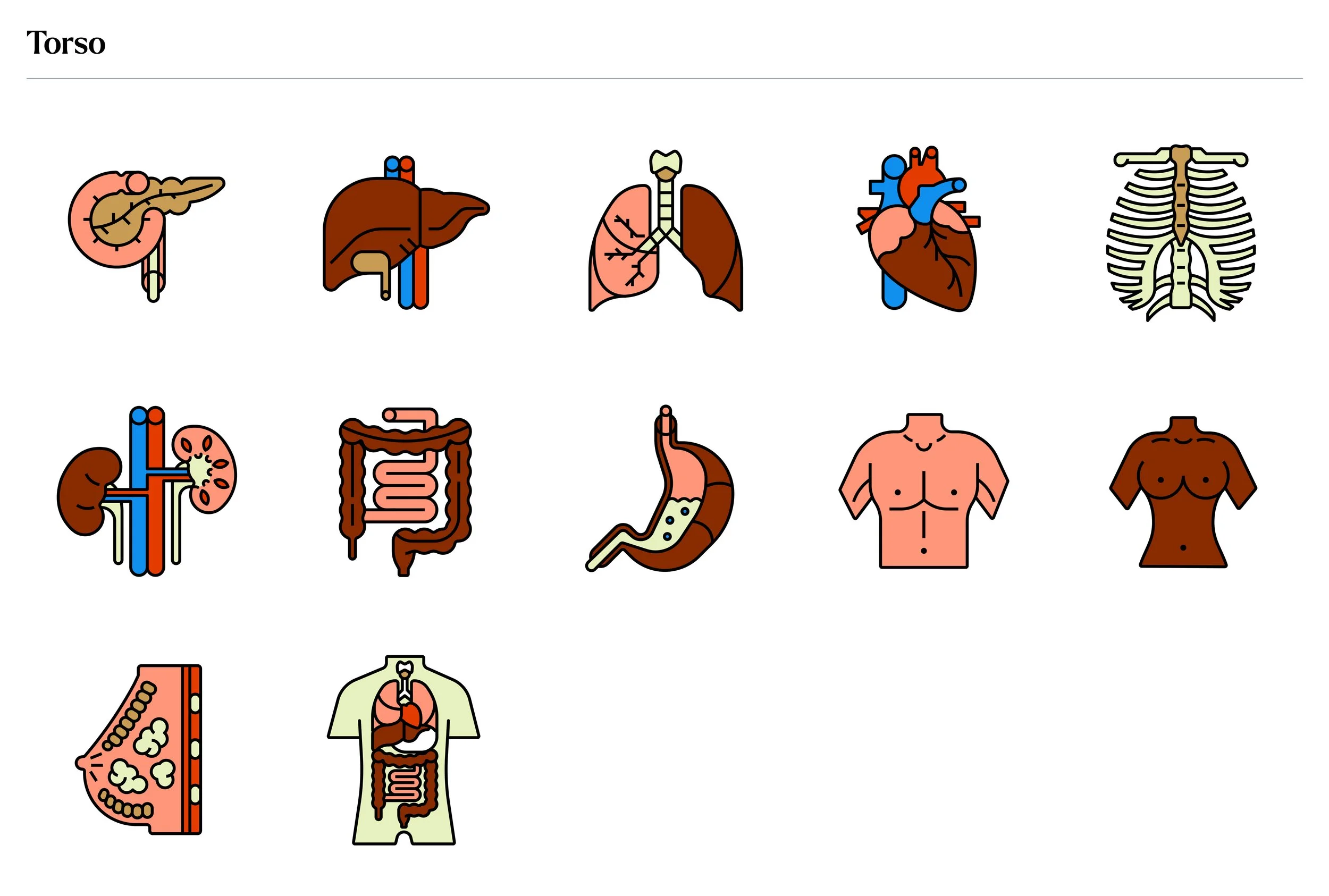 The Body Icon Set6.jpg