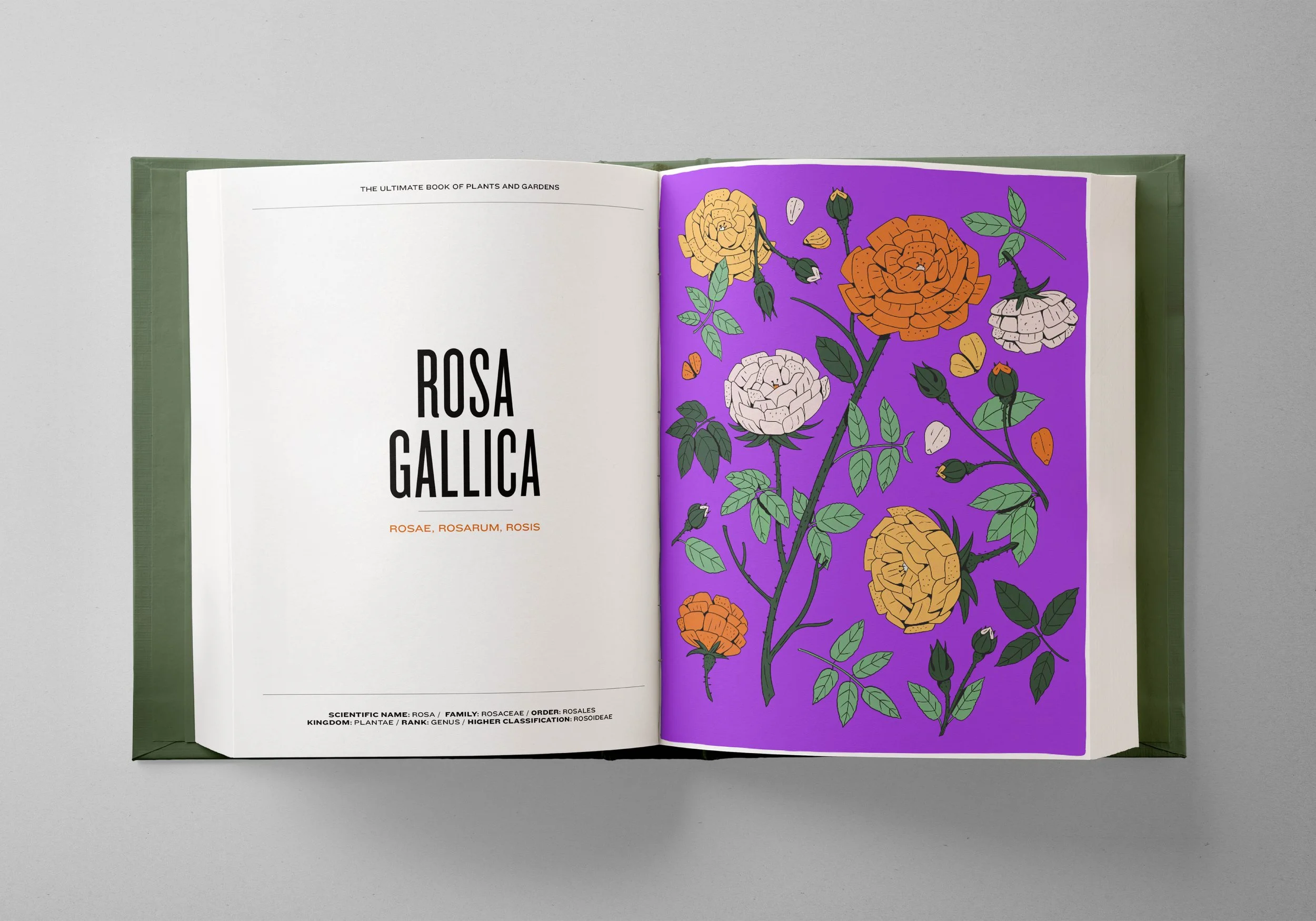 The Ultimate books of Plants and Gardens4.jpg