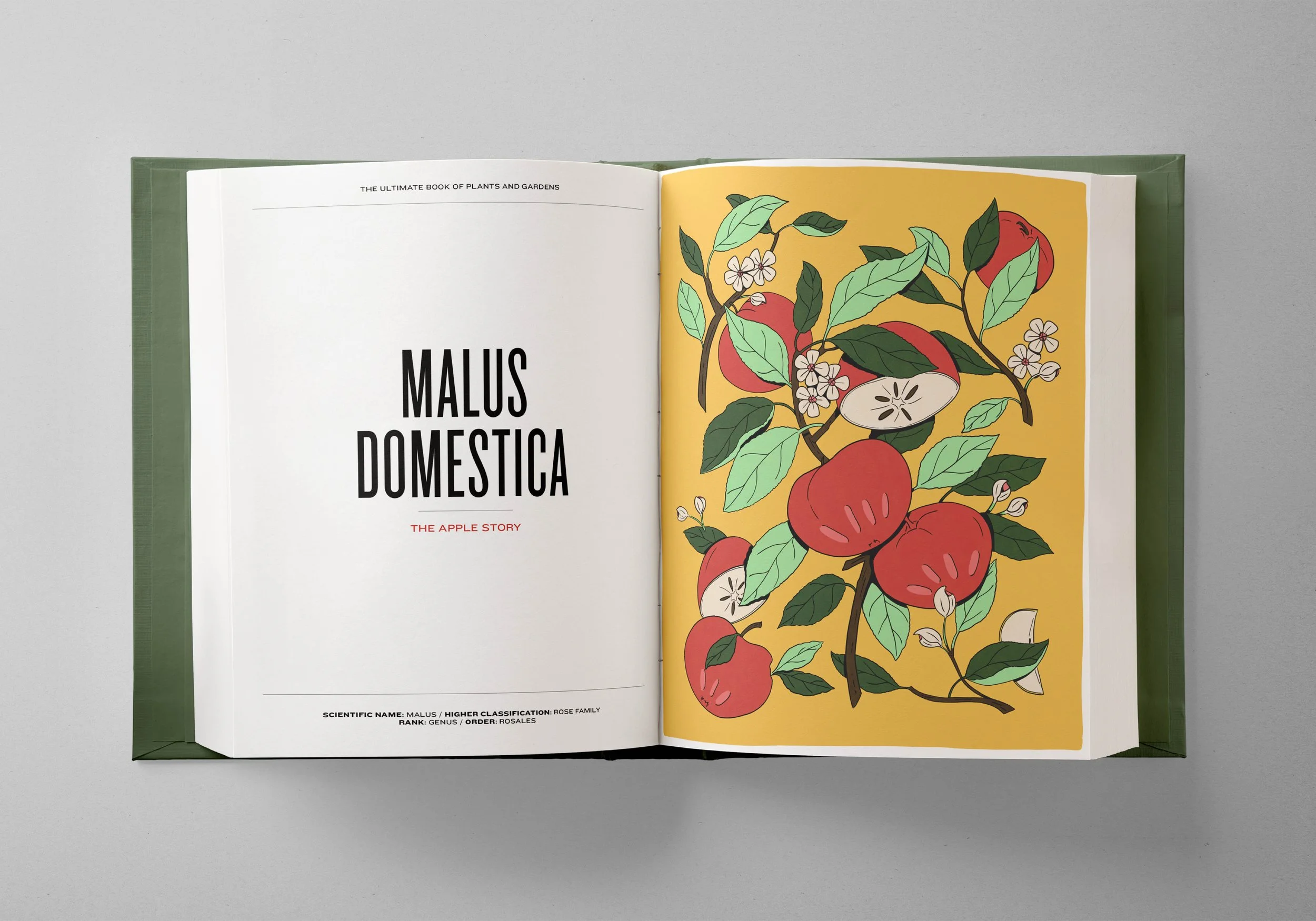 The Ultimate books of Plants and Gardens2.jpg
