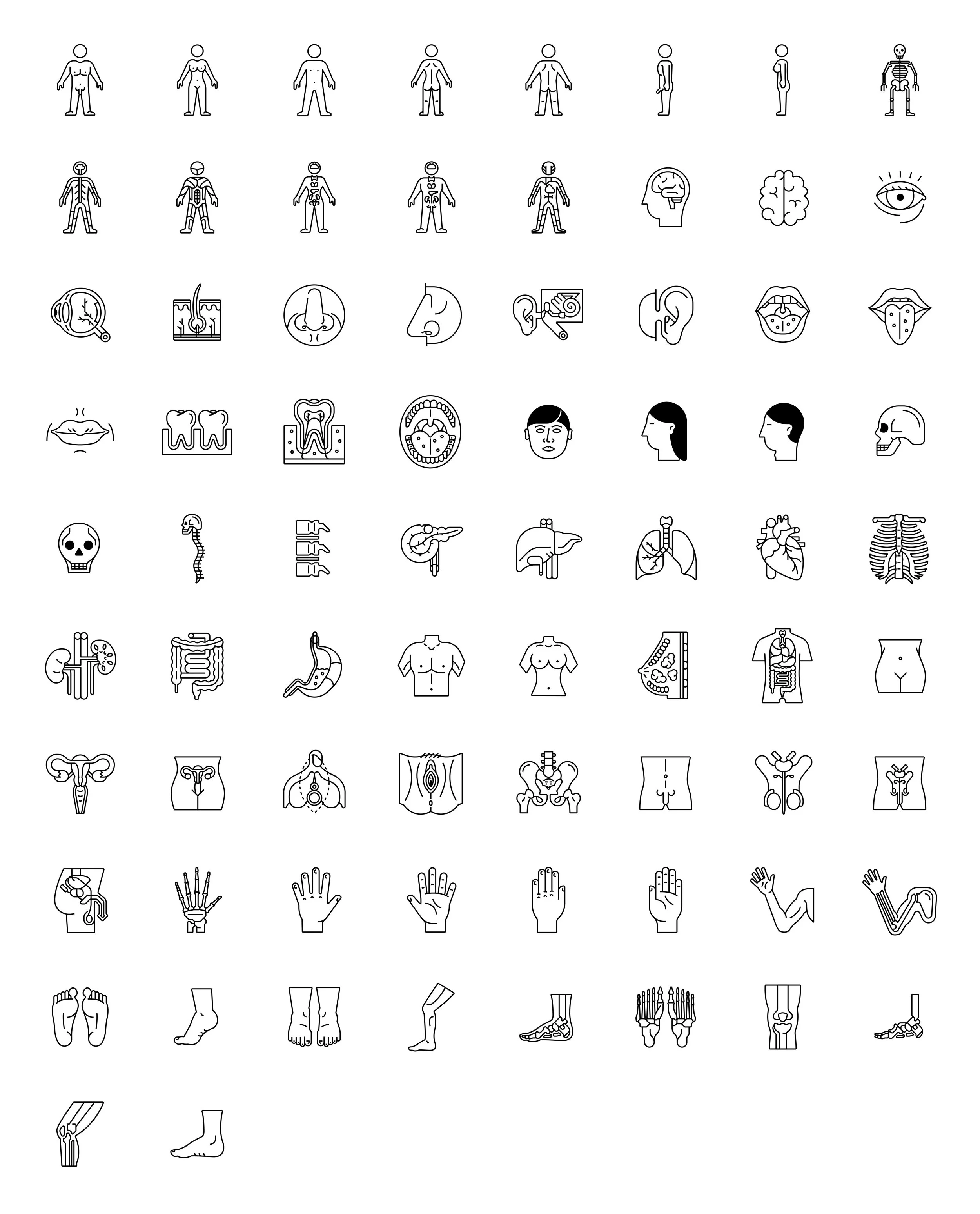The-Body-Icon-Set2.jpg