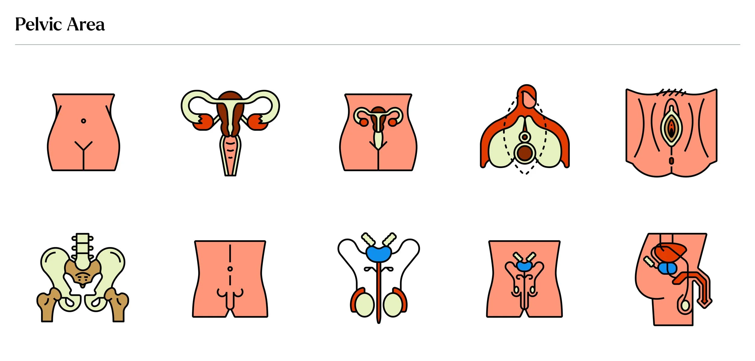 The Body Icon Set7.jpg