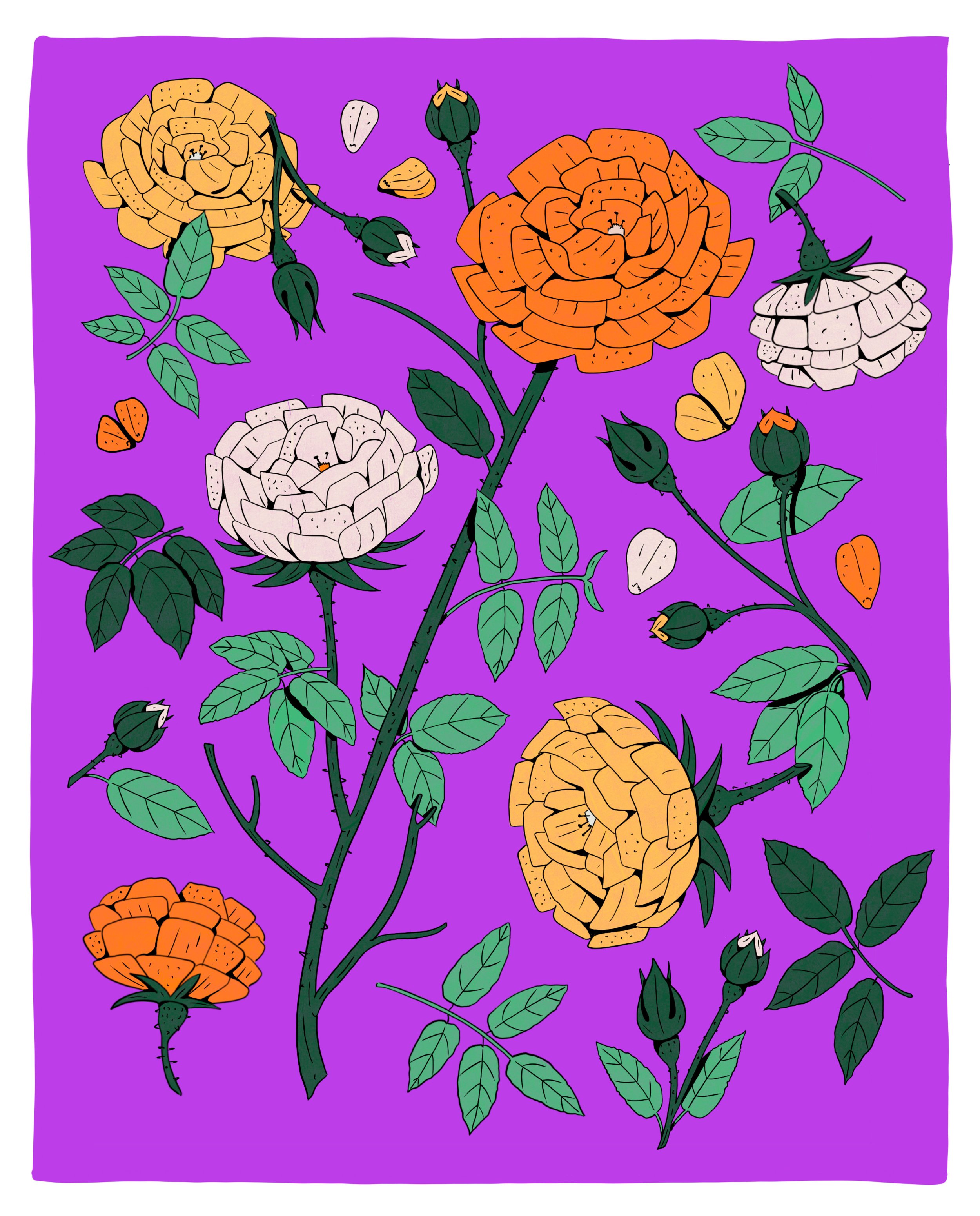 The-Ultimate-books-of-Plants-and-Gardens5.jpg