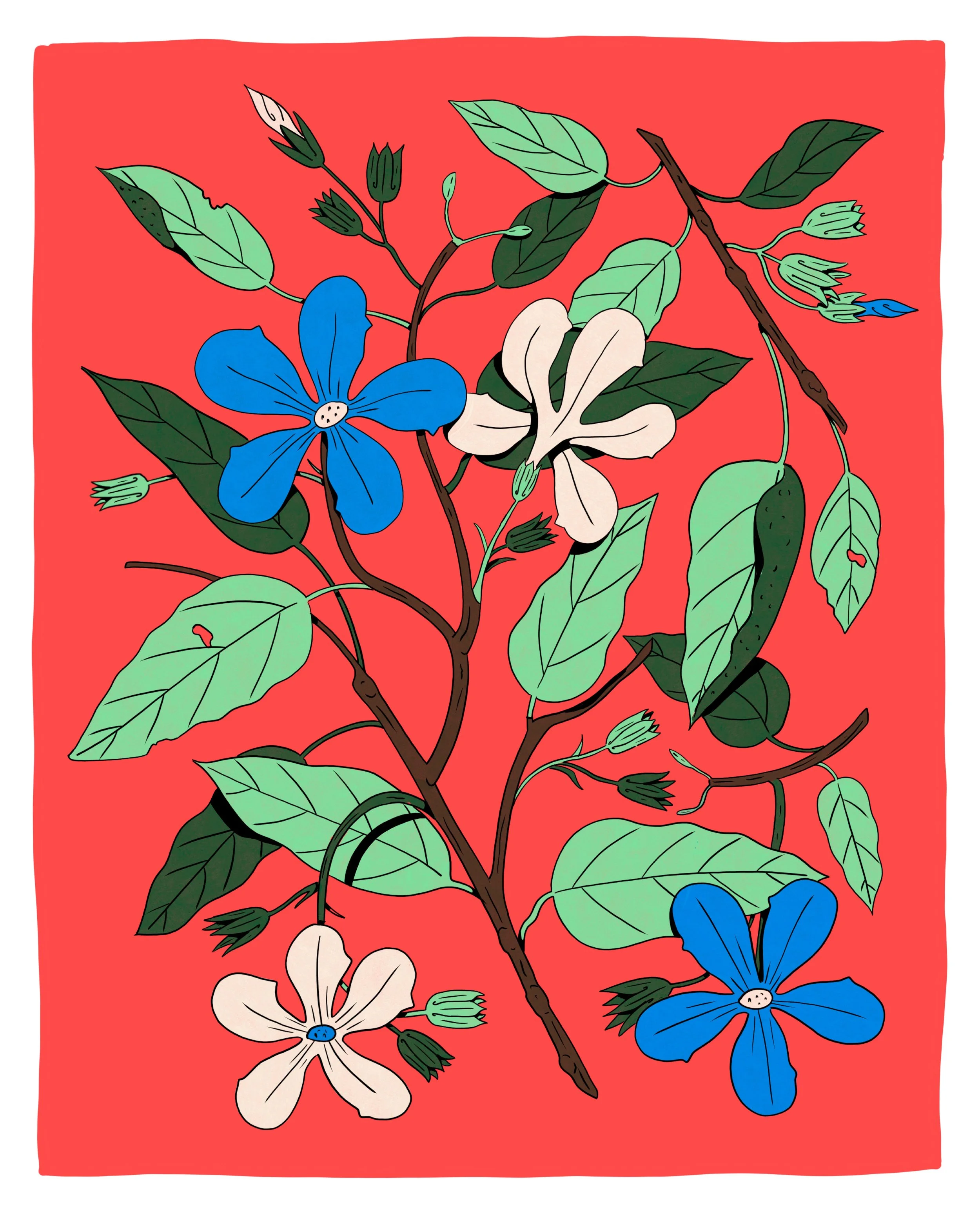 The-Ultimate-books-of-Plants-and-Gardens7.jpg