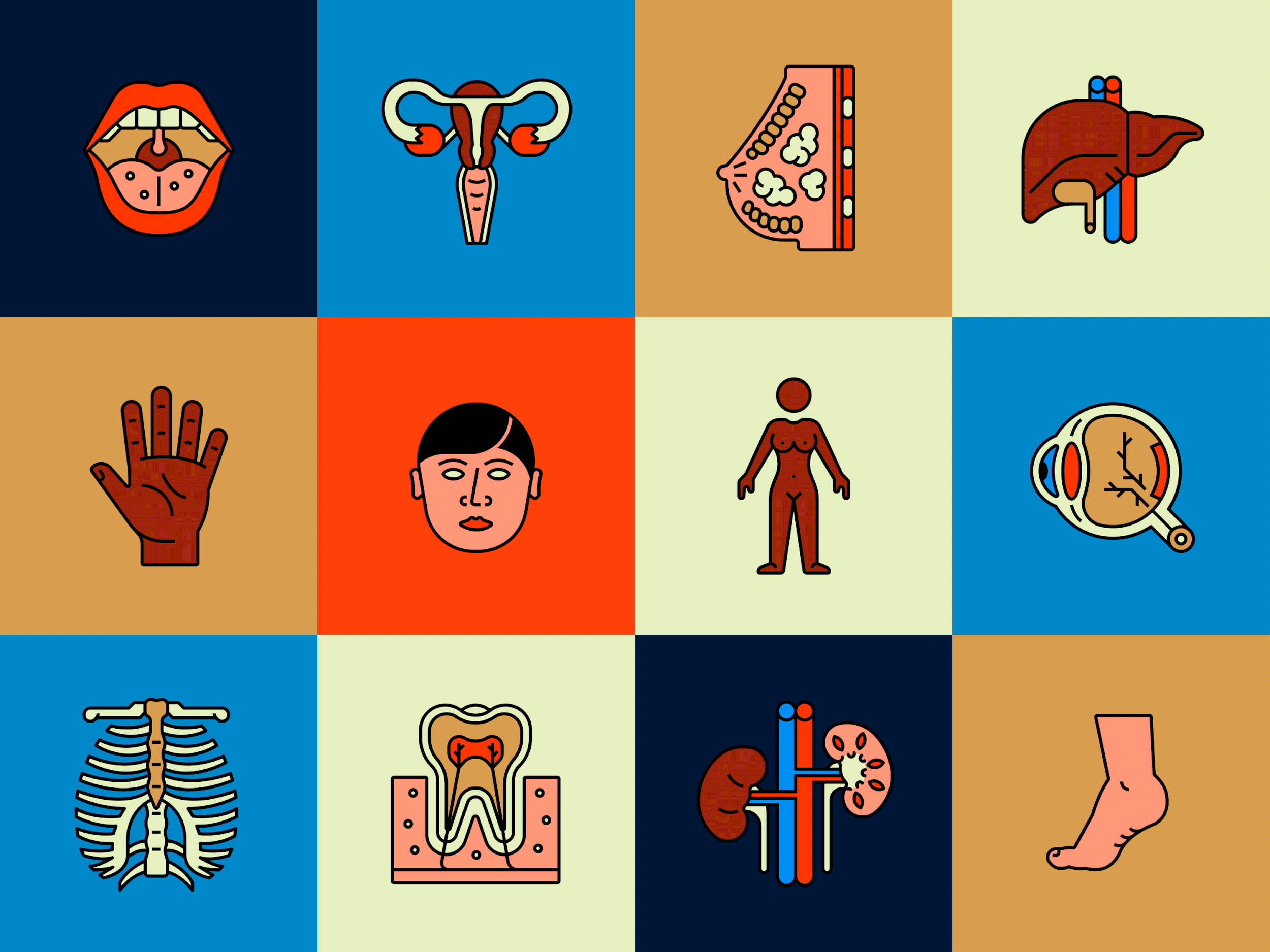 The Body Series