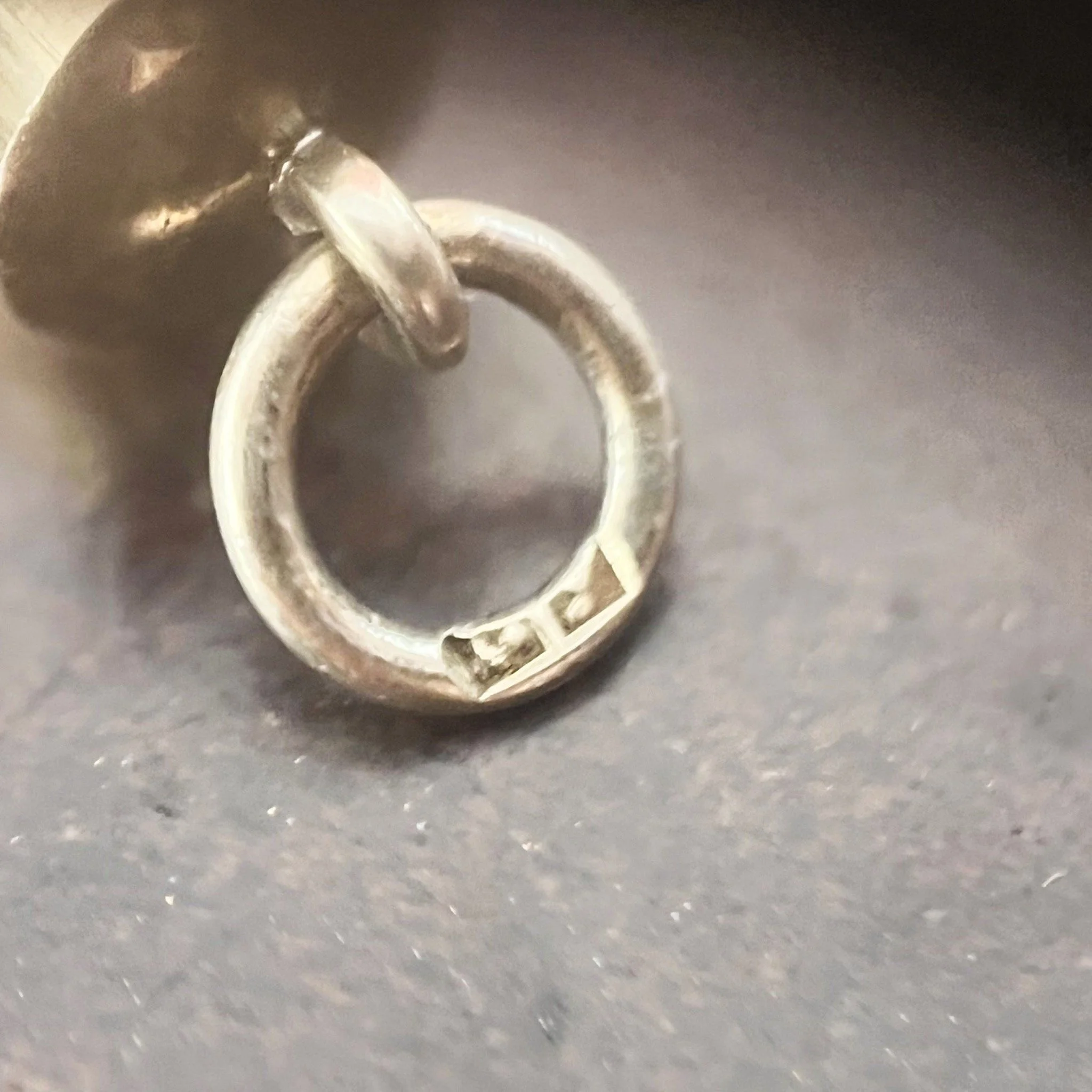 IMG 003.jpg