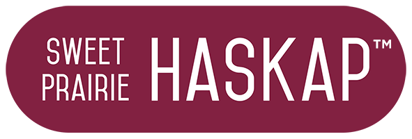 Sweet Prairie Haskap™