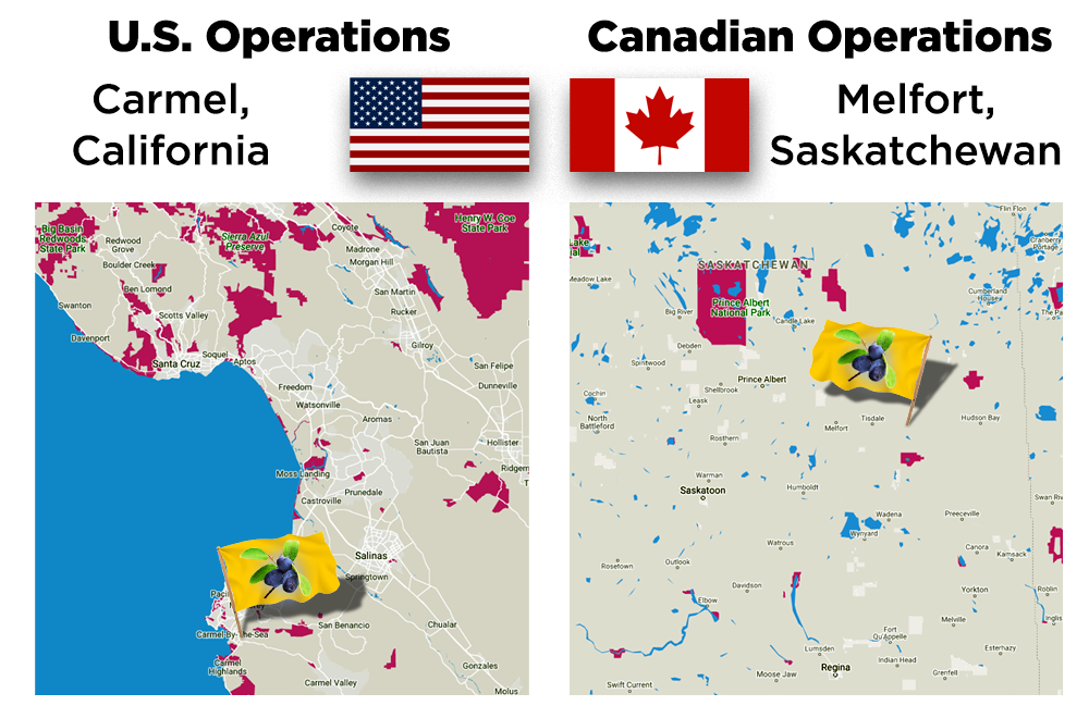 USA & Canada Maps for Sweet Prairie Haskap™