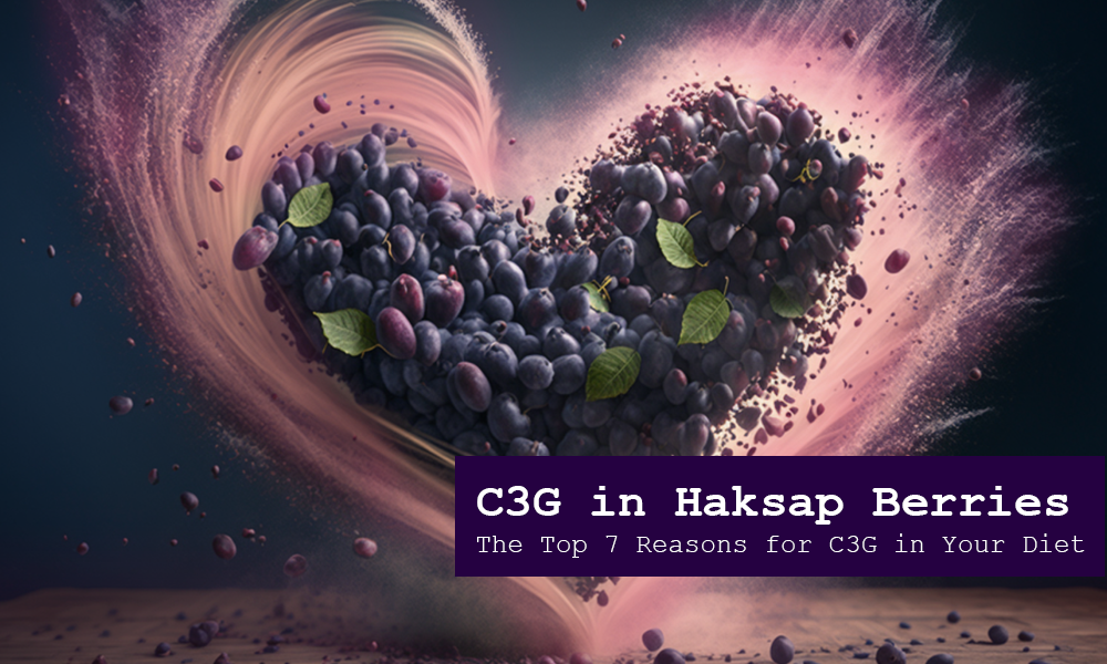 C3G in Haksap Berries - What is it?&nbsp;The Top 7 Reasons for C3G in Your Diet