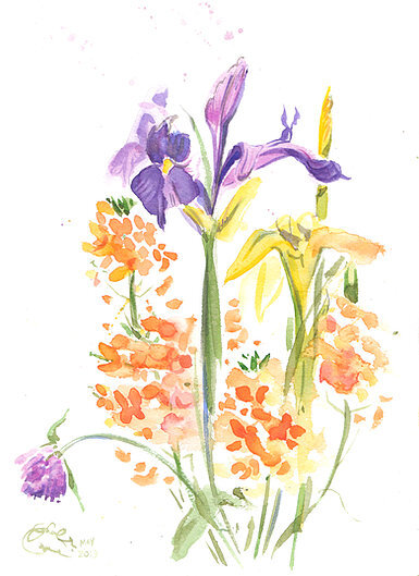 summer_scent_botanical_original_giulia_ireland.jpeg