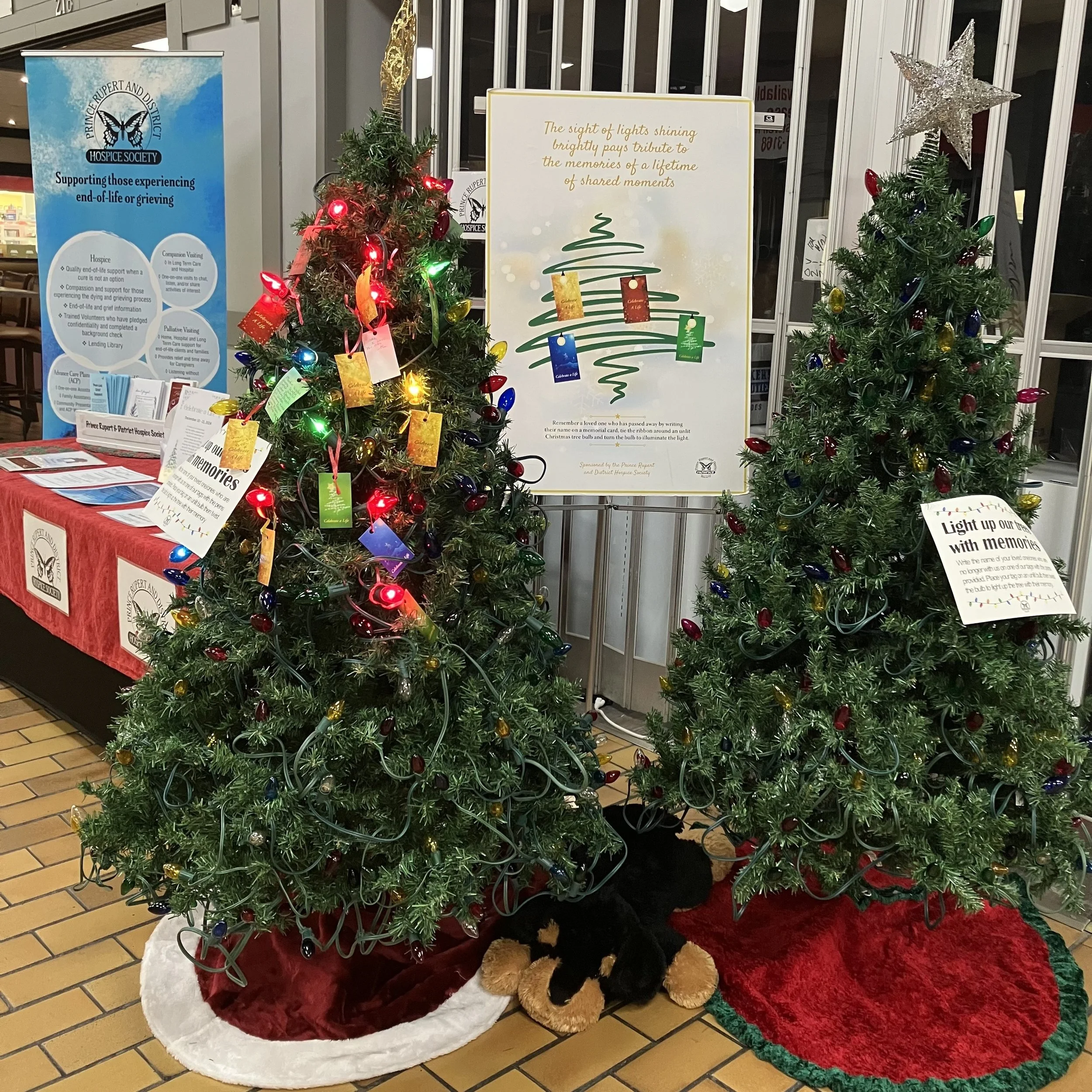 Day 1 of the 2024 Celebrate-a-Life Trees which were situated on the lower level of the mall, along with an Information Table