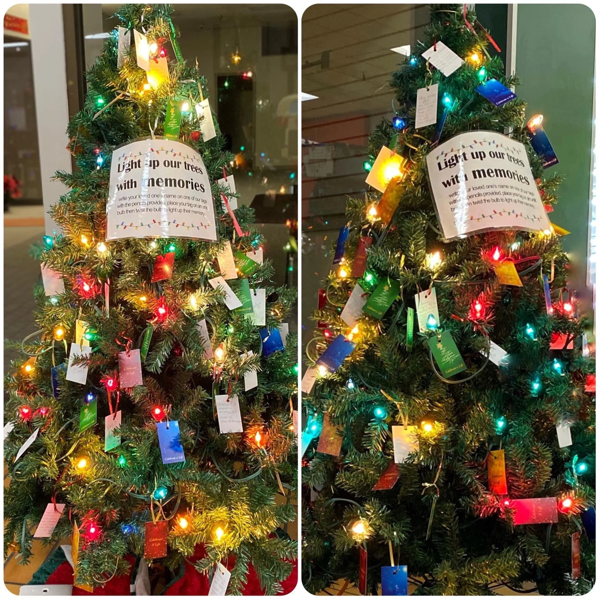 The two 2021 "Celebrate-a-Life" trees lit with the memories of loved ones no longer here.