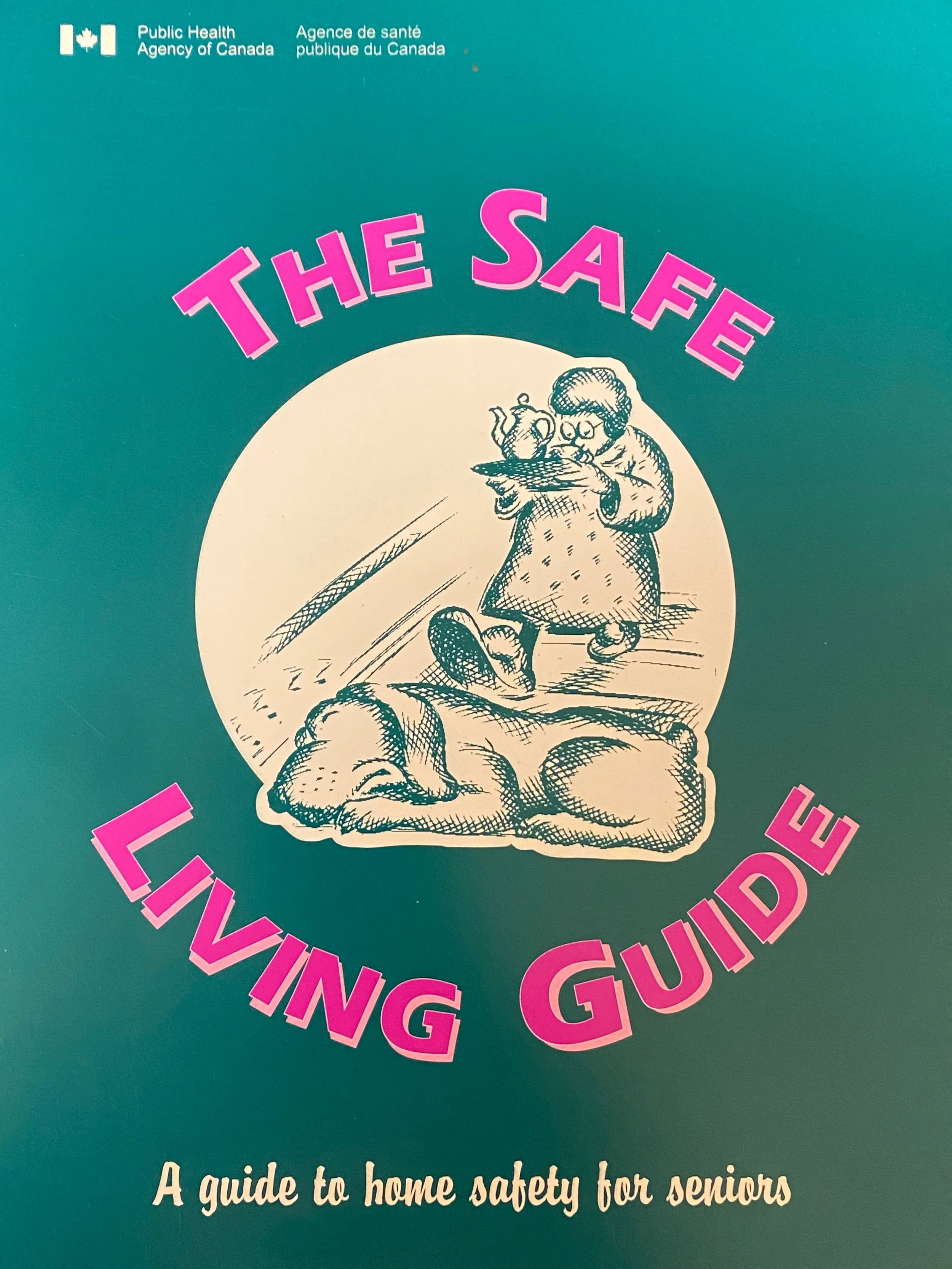 The Safe Living Guide.JPG