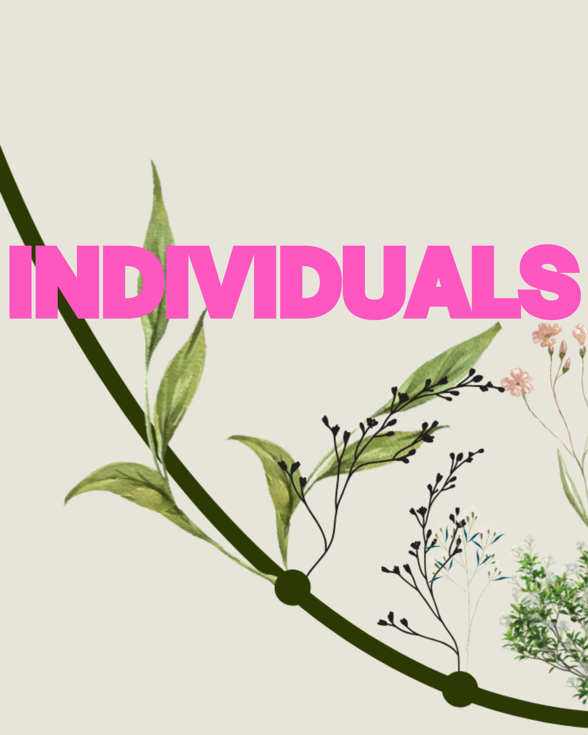 INDIVIDUALS
