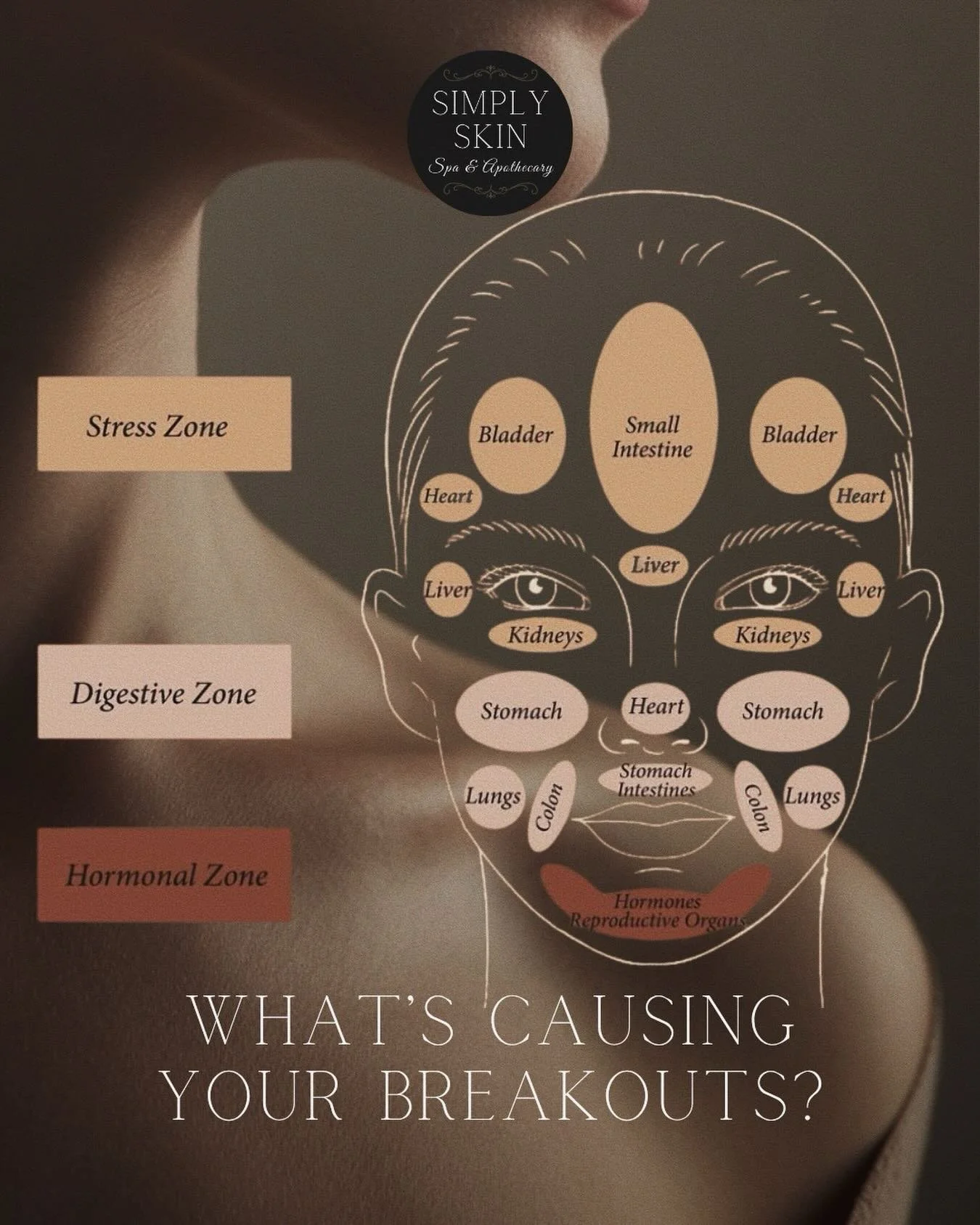 Your skin is speaking&hellip; are you listening?

At Simply Skin, we look beyond the surface. Through the lens of Chinese Face Mapping, we use your skin as a guide to uncover deeper imbalances within the body&mdash;whether it&rsquo;s stress, digestio