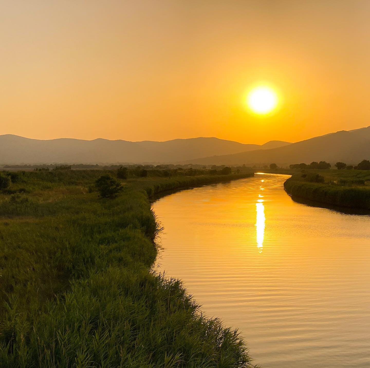Because the light always shines through, no matter what!
..
&hellip;
..
#castiglionedellapescaia #maremma #maremmatoscana #thelightshinesthrough #goldenlight #lightonwater #soulbreathyoga #yogacastiglione #liveyourlife #loveyourlife #dancinglights