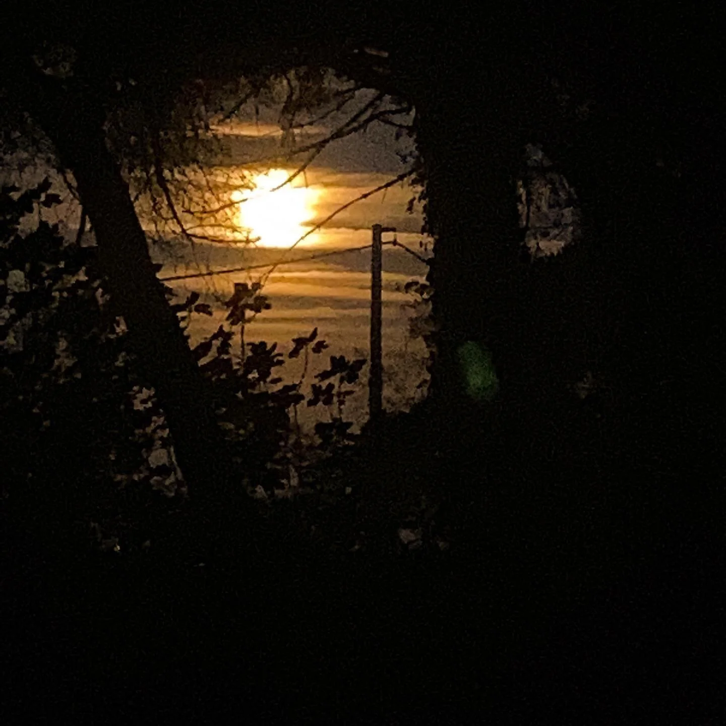 Breathe deep and ask yourself:
What are you letting go of with today&rsquo;s #fullmoon?
What are you grateful for? And 
What are you inviting in your life? 
🙏❤️🌕
..
..
..
#happyfullmoon #breathwork #breathworkhealing #healingwithintention #healingw