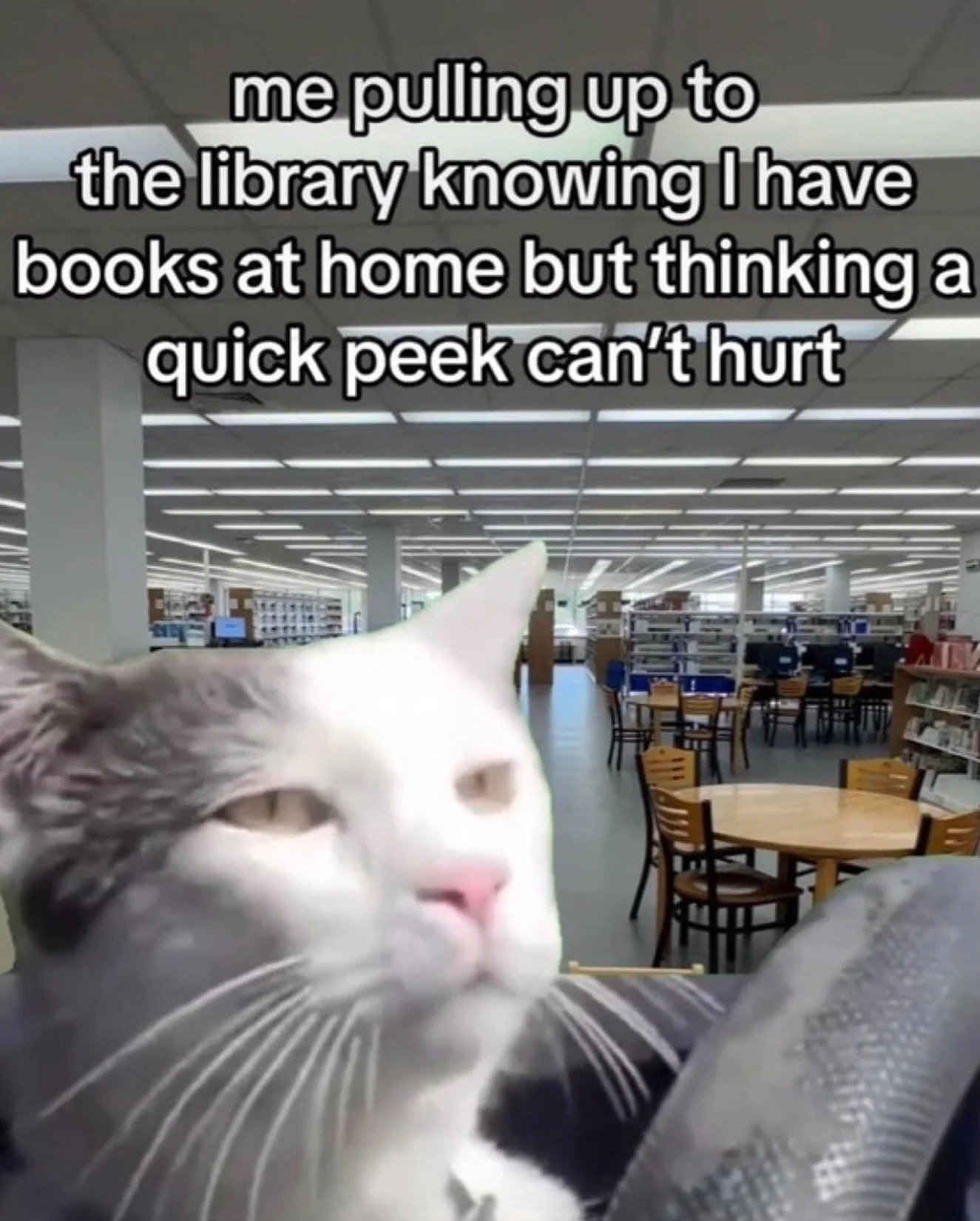 We&rsquo;ve all been there! You tell yourself you&rsquo;re just dropping off returns, but those stacks are calling your name. 📚✨ 

Whether you have a &ldquo;to read&rdquo; pile at home that&rsquo;s reaching the ceiling or you just need a quick liter