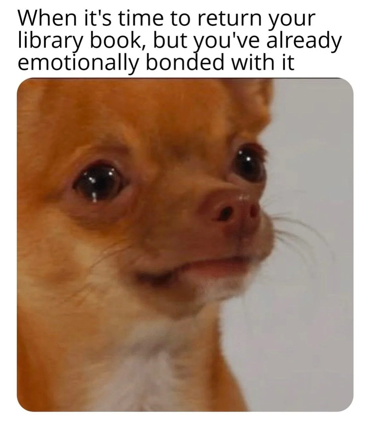 When it&rsquo;s time to return it to the library, but you e laughed with it, core with it, and stayed up way too late with it. Now you have to say goodbye :(
Don&rsquo;t worry, you can always check it out again. True love never fades 💕