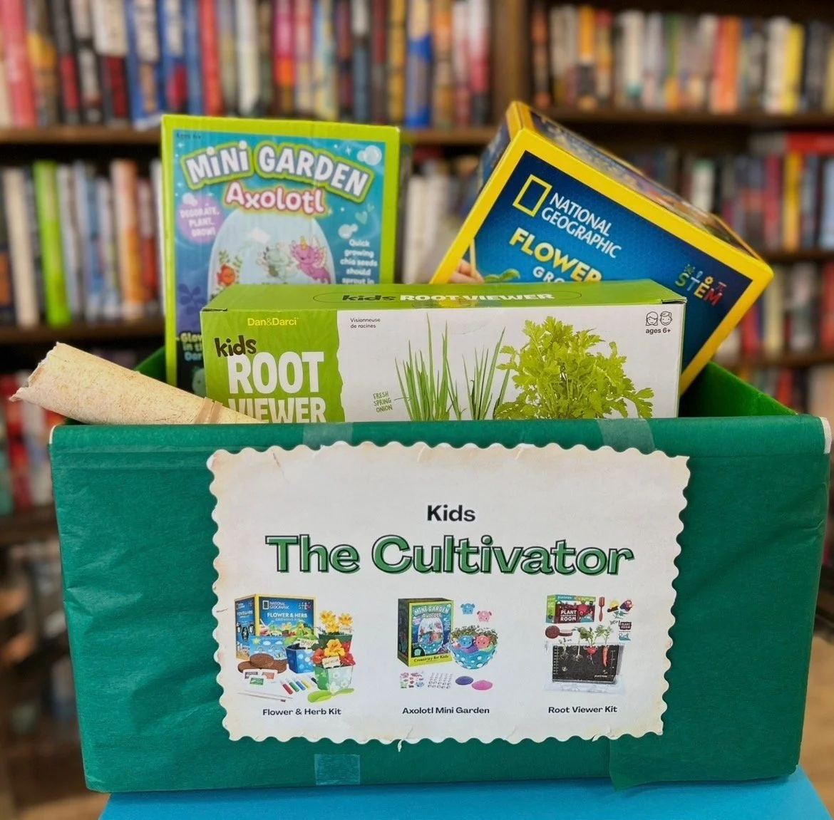 Kid Cultivator bundle includes root viewer kit, flower and herb kit, and mini axolotl garden