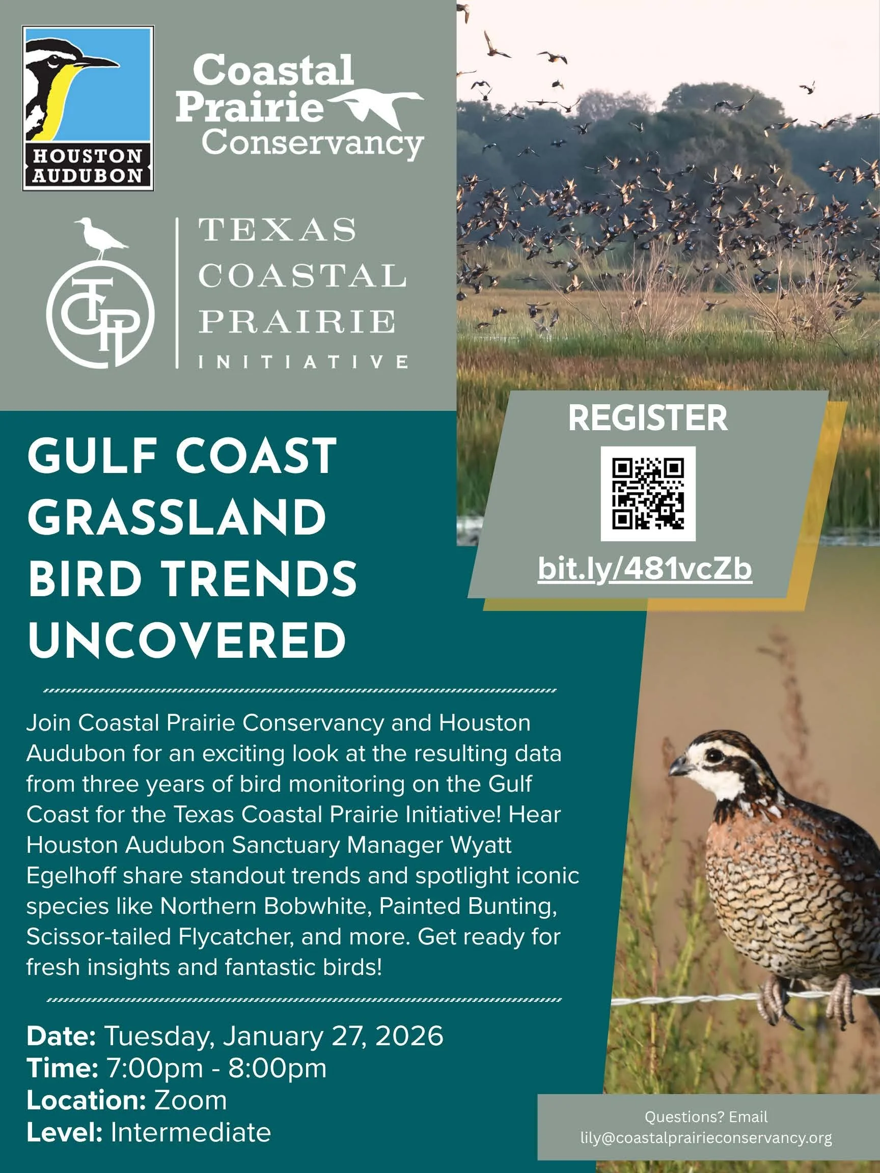 Gulf Coast Grassland Bird Trends Uncovered