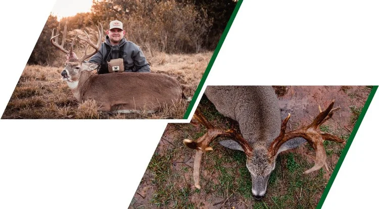 Whitetail | Stuart Ranch Outfitters
