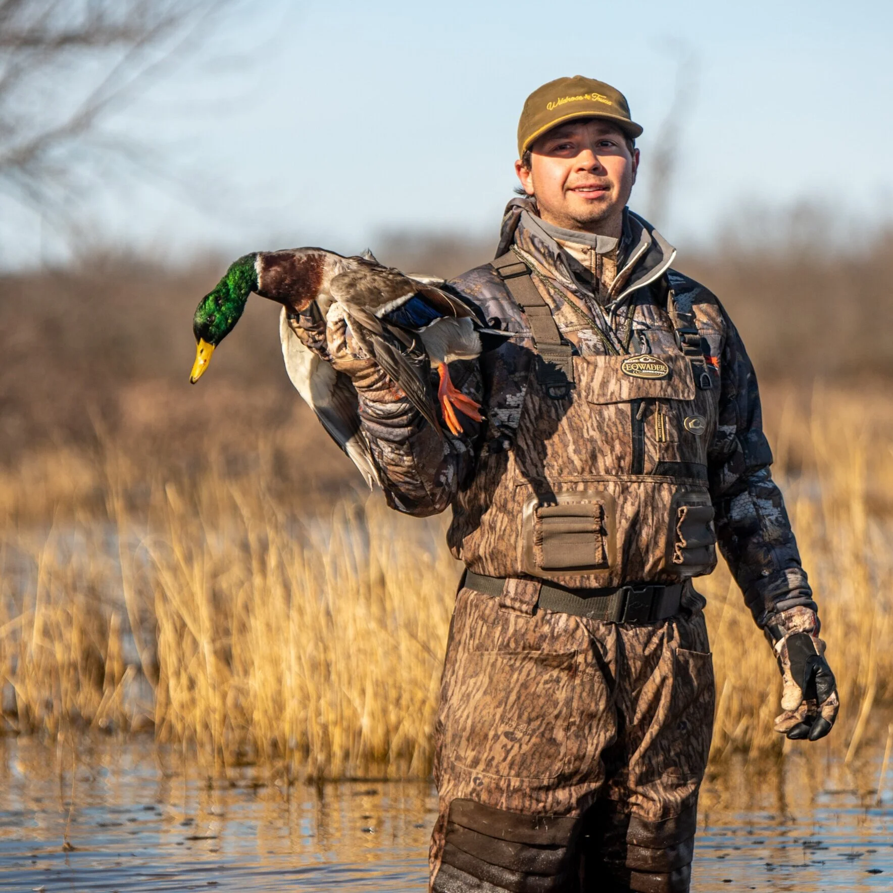 Home Stuart Ranch Outfitters