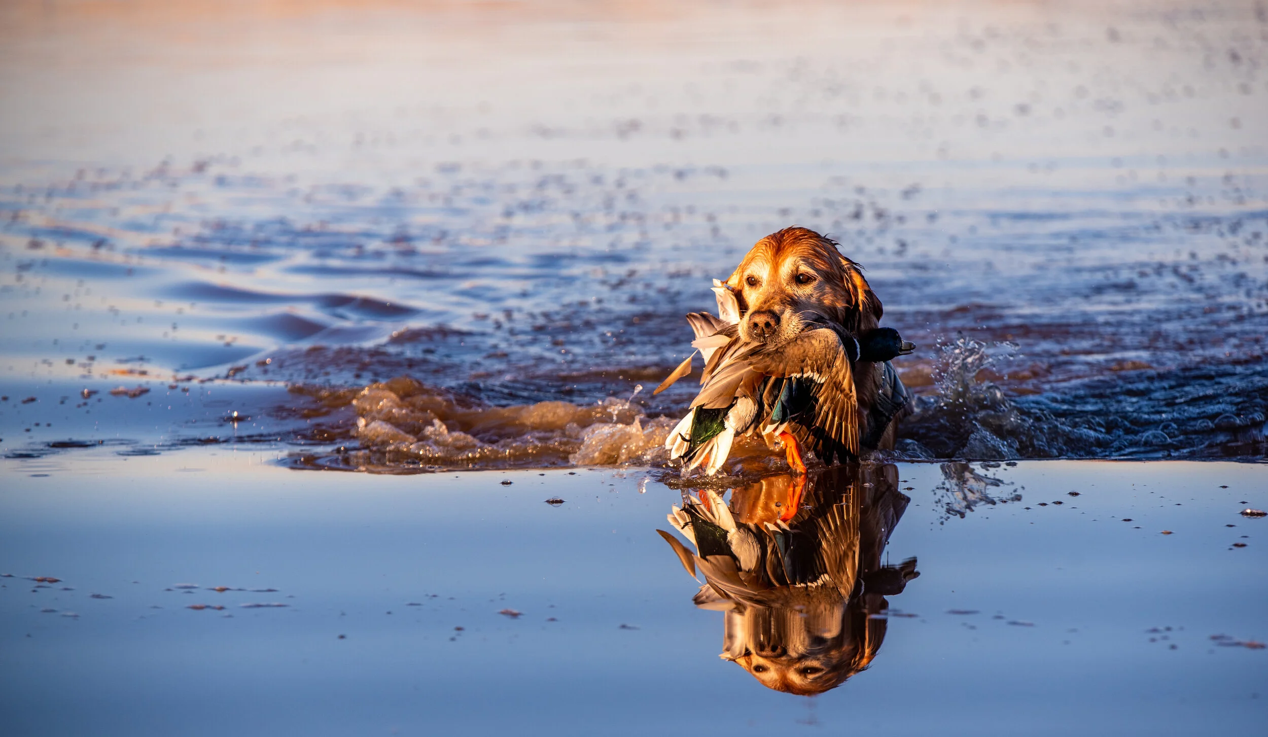 Stuart Ranch Outfitters 1 Guided Hunts In Oklahoma