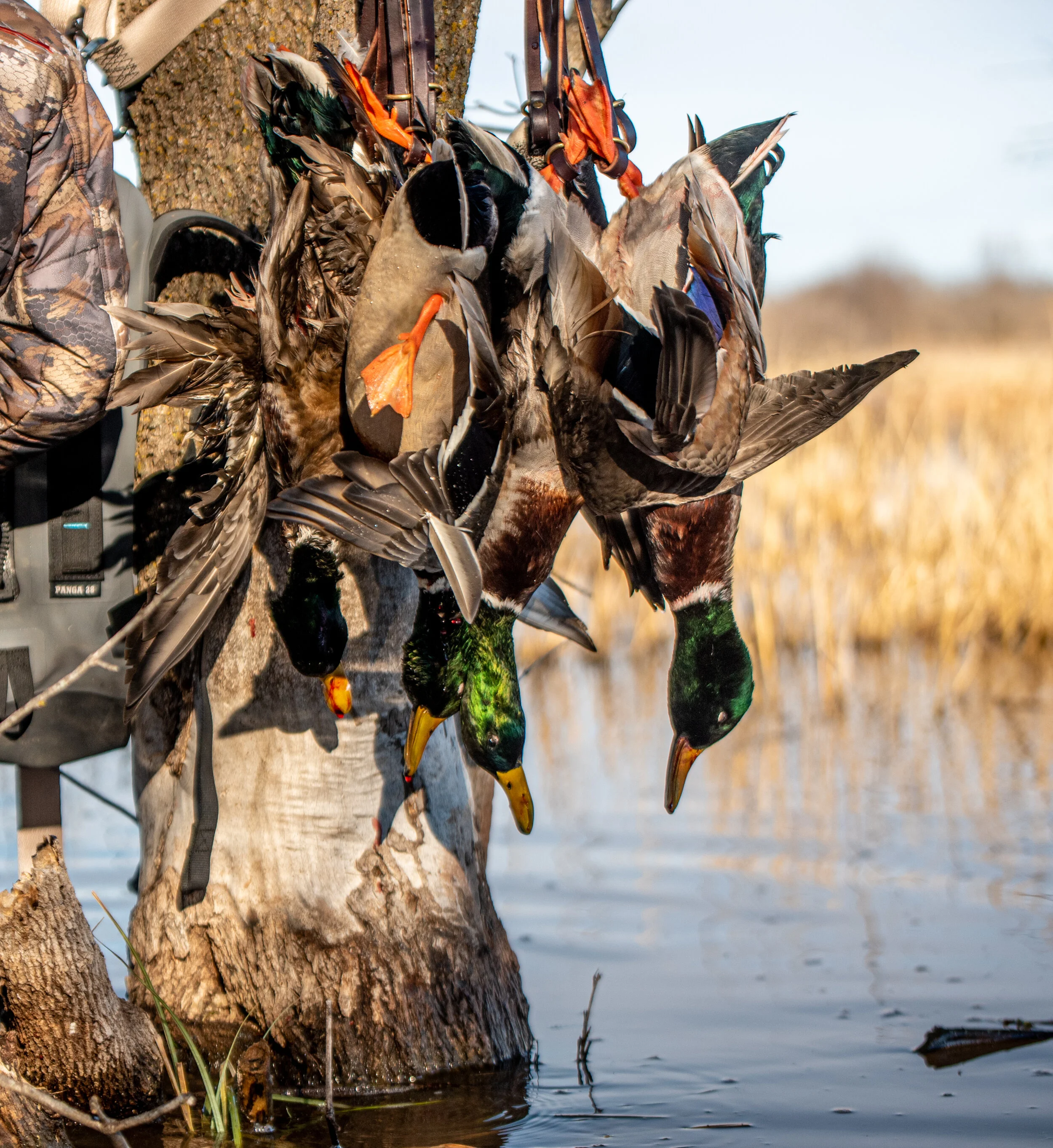 Waurika Stuart Ranch Outfitters