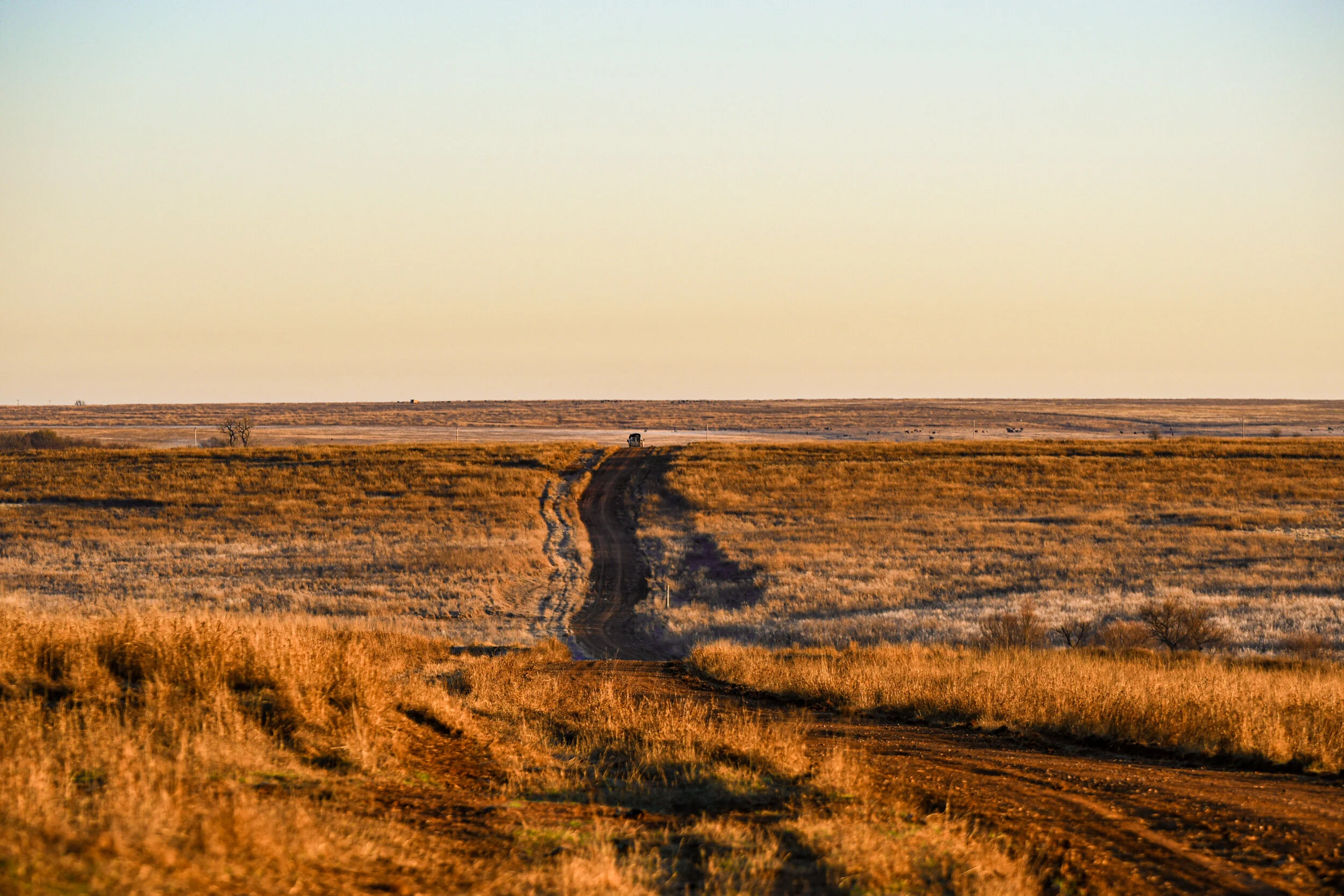 Waurika Stuart Ranch Outfitters