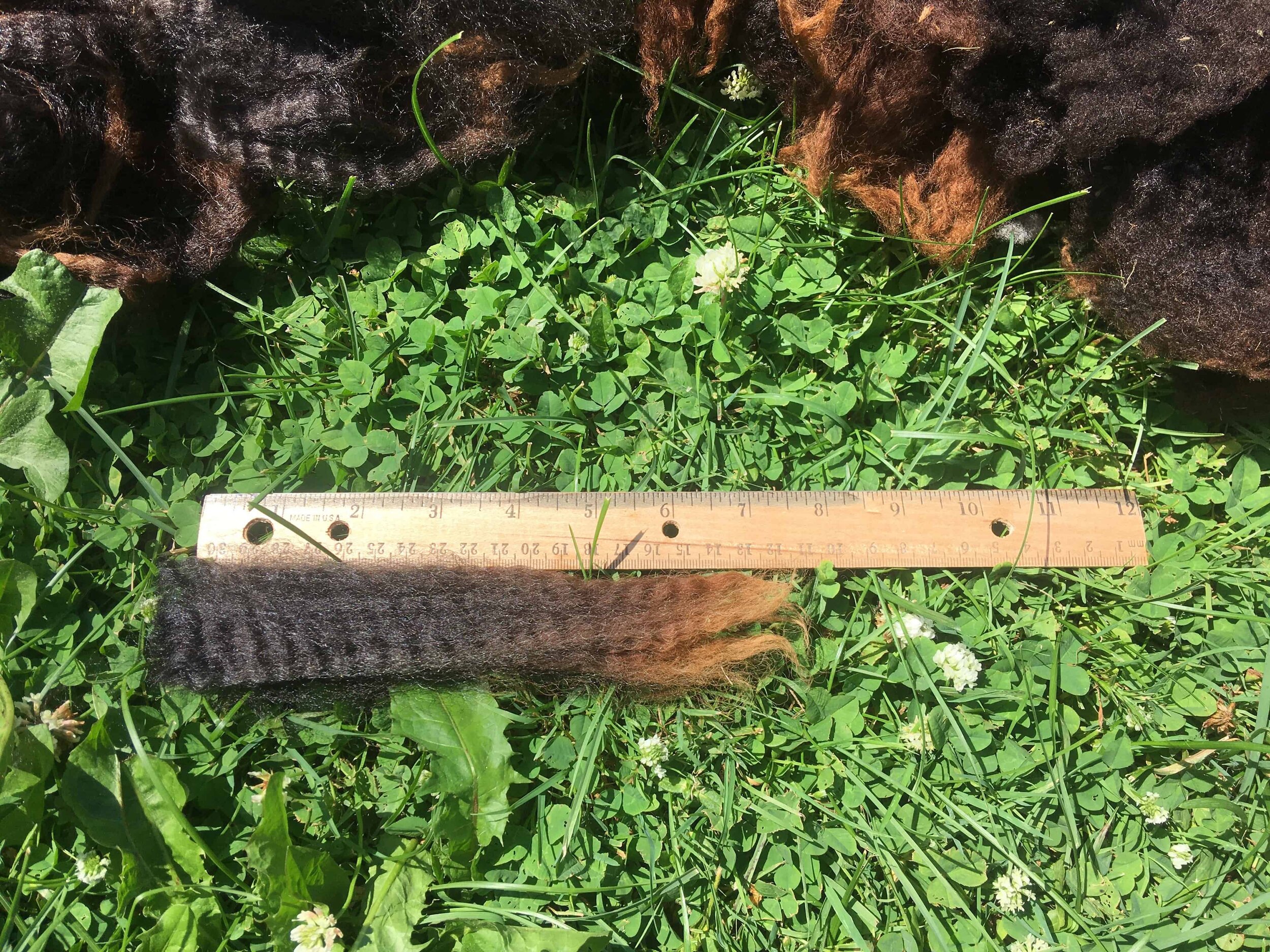 black wool 7+ _.jpg