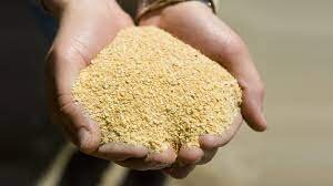 soybean meal.jpeg
