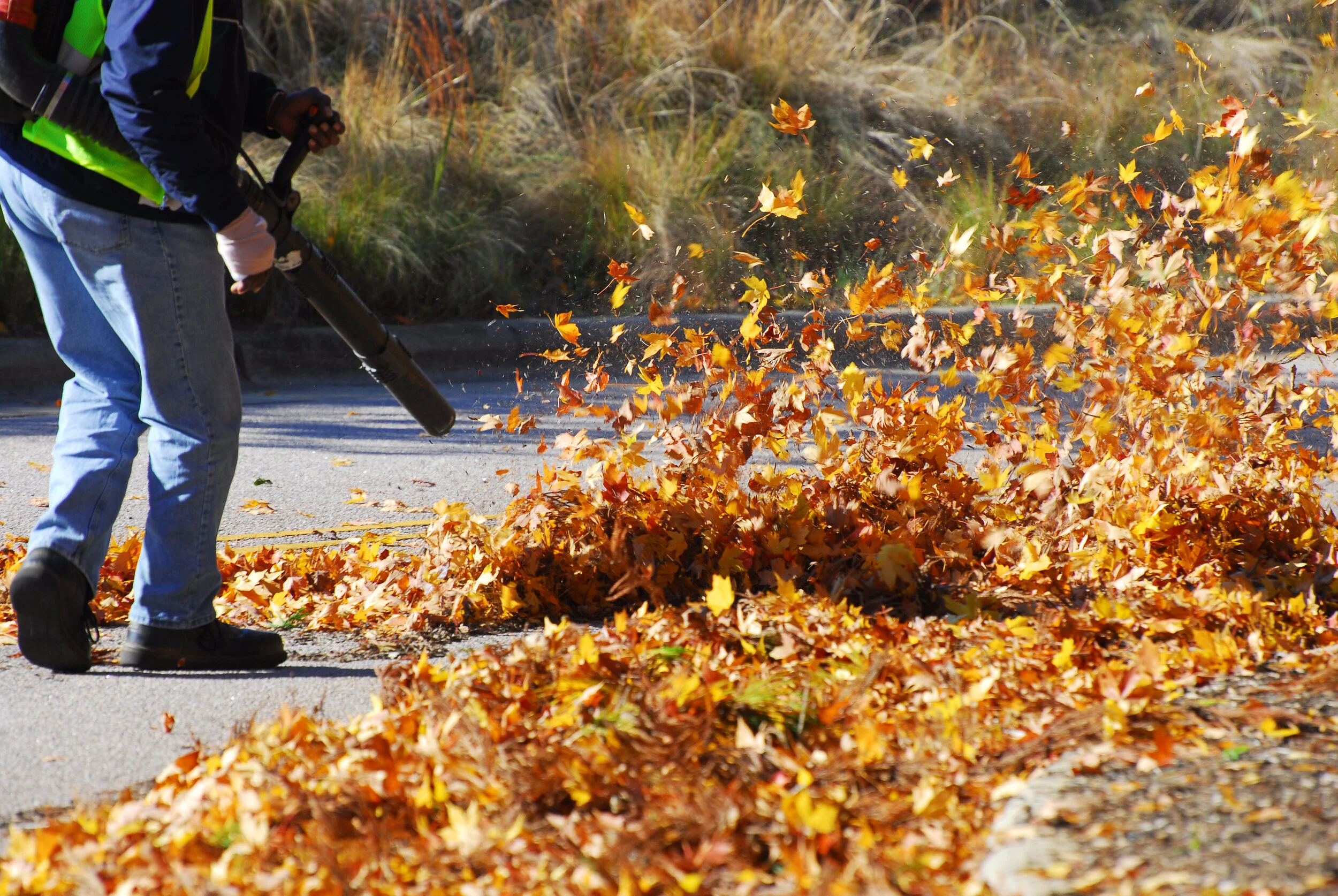 Leaf Cleanup.jpg