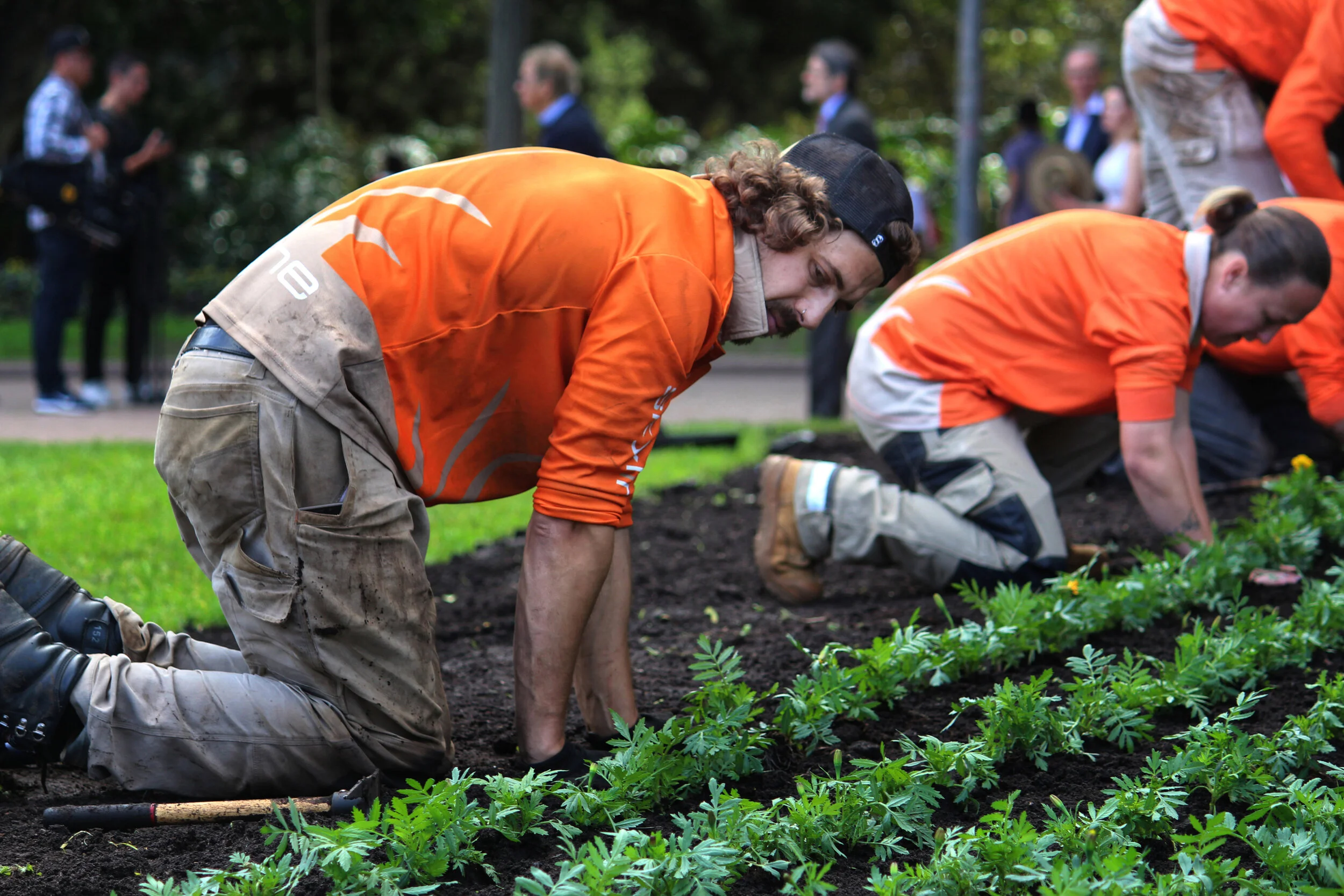 Planting mulching.jpg