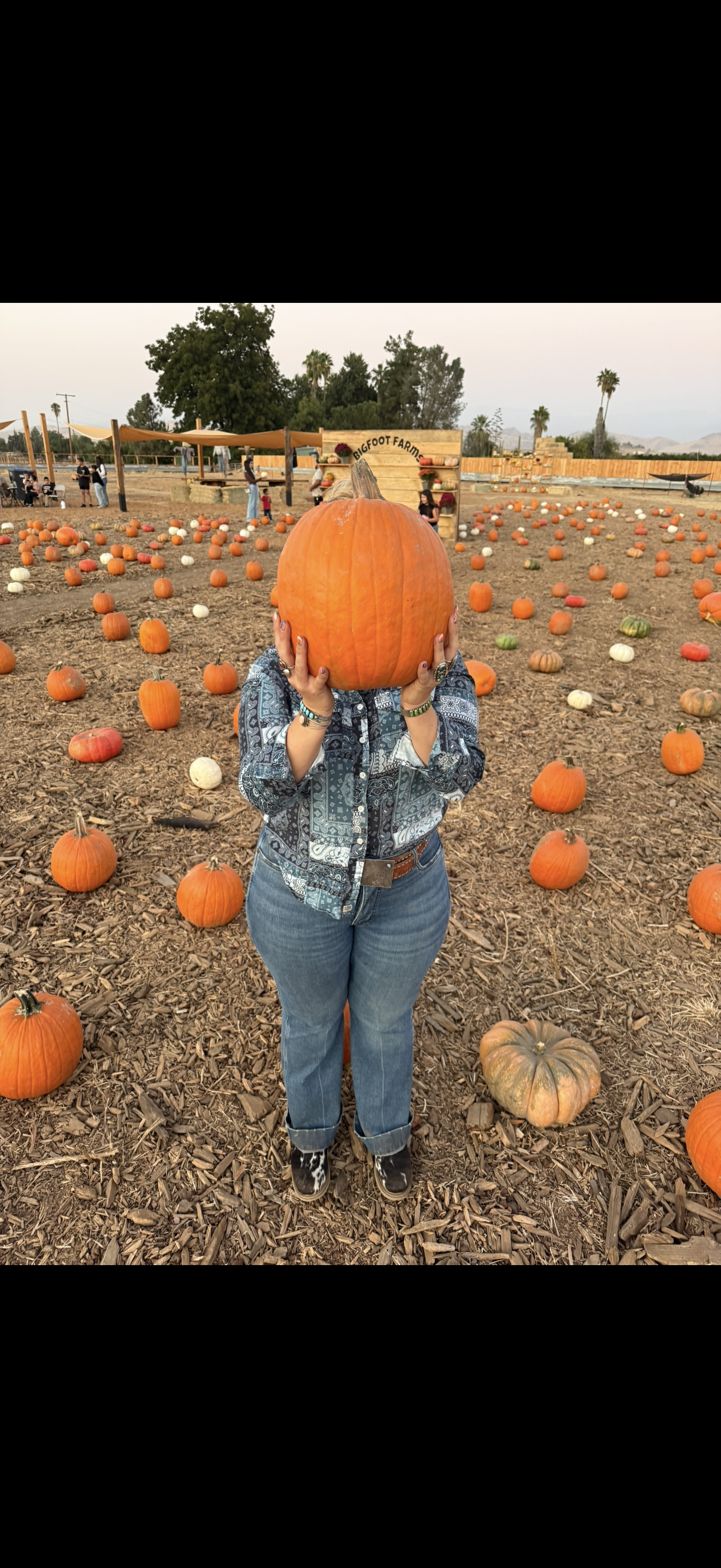 Bigfoot Farms' Pumpkin Patch, Porterville, CA - Tulare County
