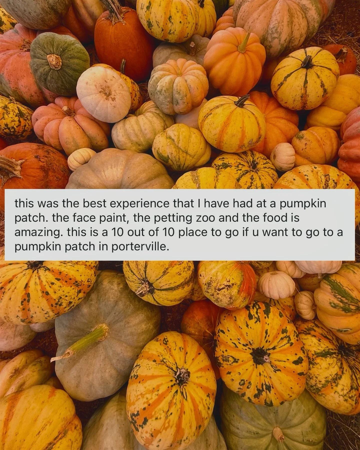 The weather&rsquo;s beautiful and the vibes are poppin&rsquo; 🌞🎃
We&rsquo;re open Saturday &amp; Sunday from 2&ndash;8 PM!

Come by for face painting by @gregoriohaas72 drinks and snacks from @frutaslocas, @kettlekingskettlecorn kettle corn, and al
