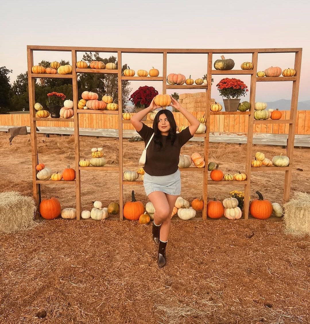 Thanks for all the tags! We love seeing you and your families making fall memories with us 🍂

Our last open day is this Friday October 31st from 2 to 8 PM. After Friday our patch will be closed for the rest of the season.

We&rsquo;re working out th