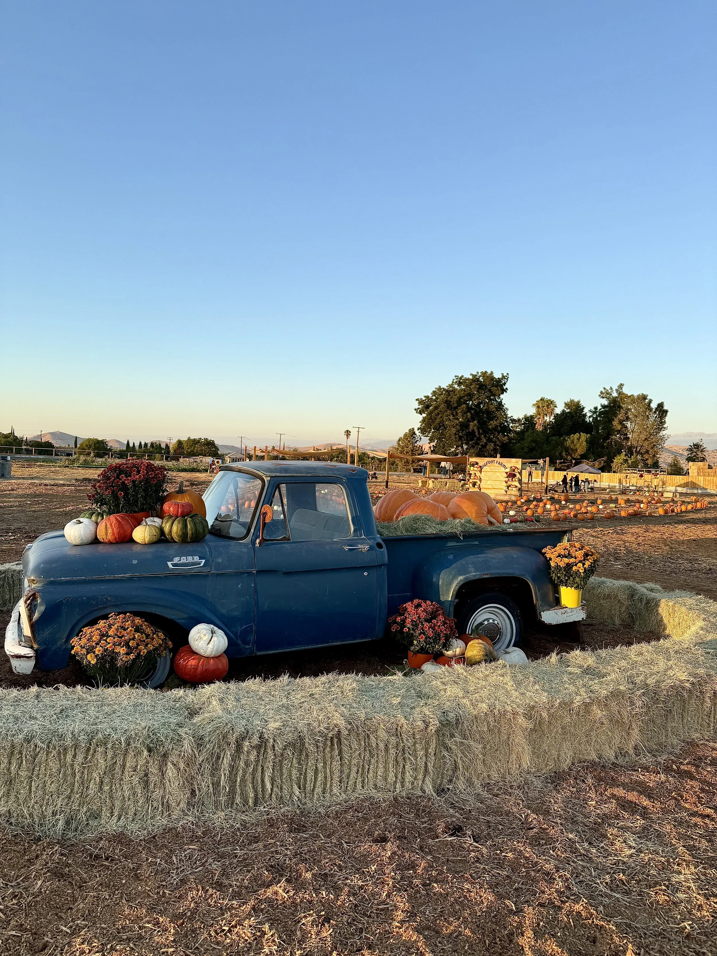 A vintage blue truck decorated with pumpkins and mums in a fall farm setting, with a pumpkin patch and trees in the background, under a clear blue sky in Tulare County.