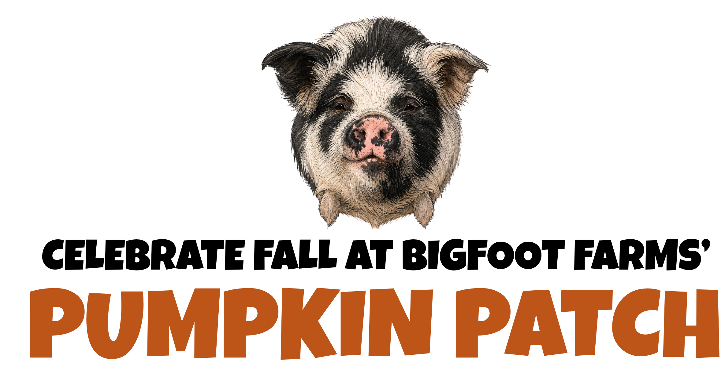A Kunekune pig, centered above the word PUMPKIN PATCH