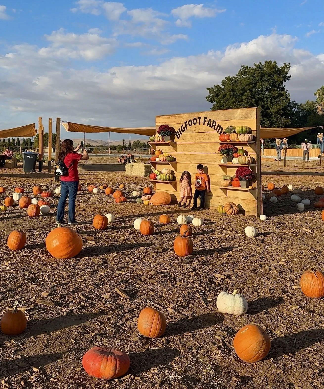 A pumpkin patch decorated for fall with pumpkins scattered on the ground, a woman taking a picture, and two children posing in front of a wooden backdrop that reads 'Bigfoot Farm.' There are trees and a blue sky with clouds in the background.