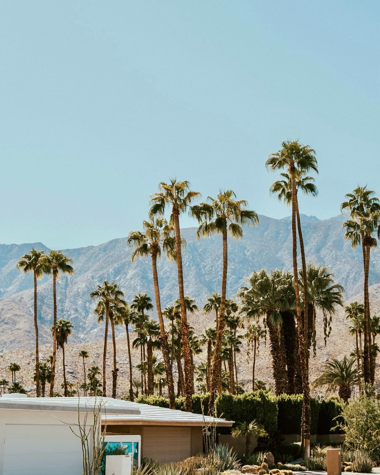 As we prepare for our week in Palm Springs, we thought we&rsquo;d share some insider tips on how to enjoy it as a local. Scroll to see some of our favorite places to stay (with perks), eat and visit. 

Consider this your mini guide to the California 