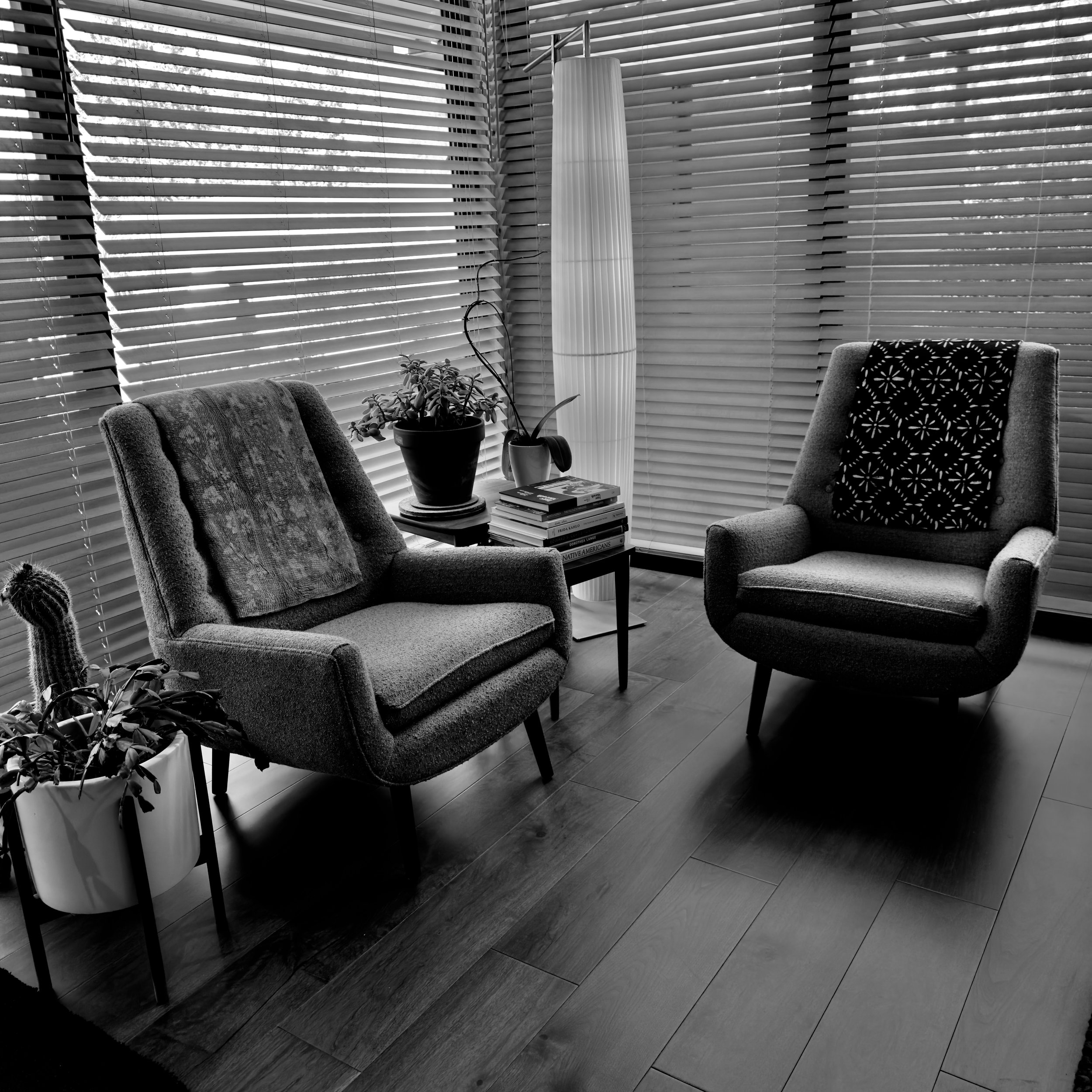 Two mid-century modern armchairs by tall windows with horizontal blinds, flanked by potted plants including a small cactus.