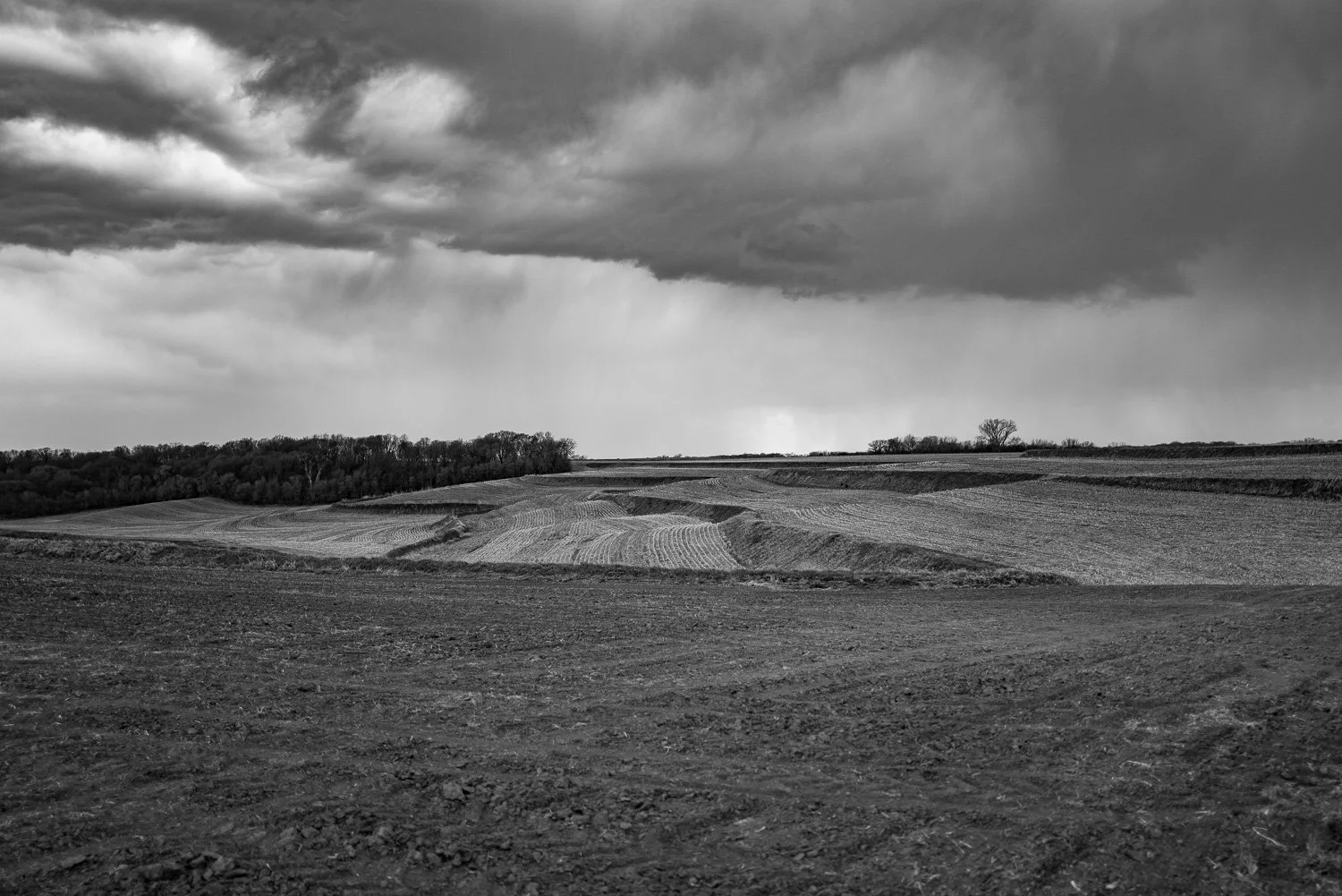 Field.jpg