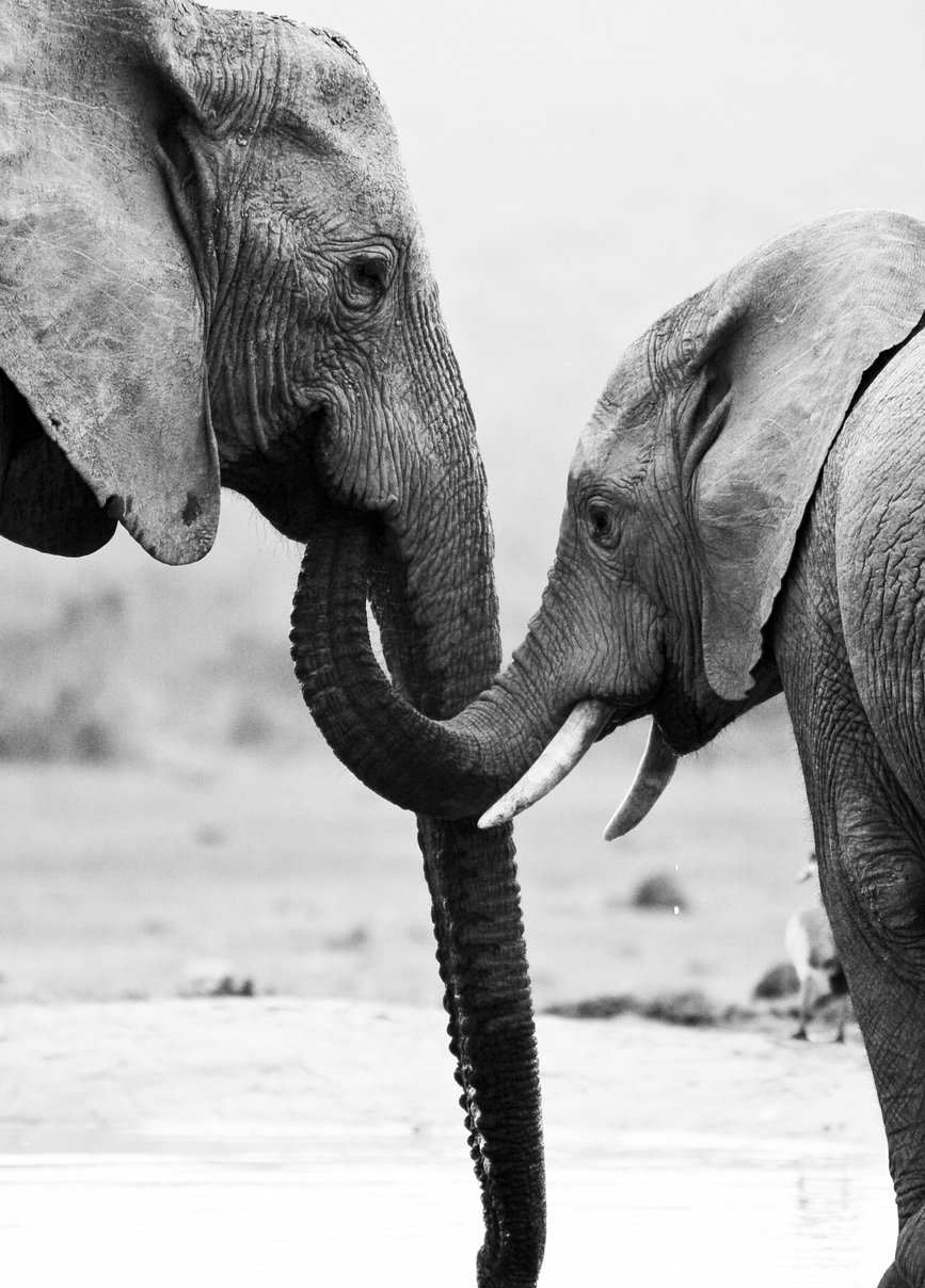 From Survival to Truth: The Uncomfortable Edge of 2025