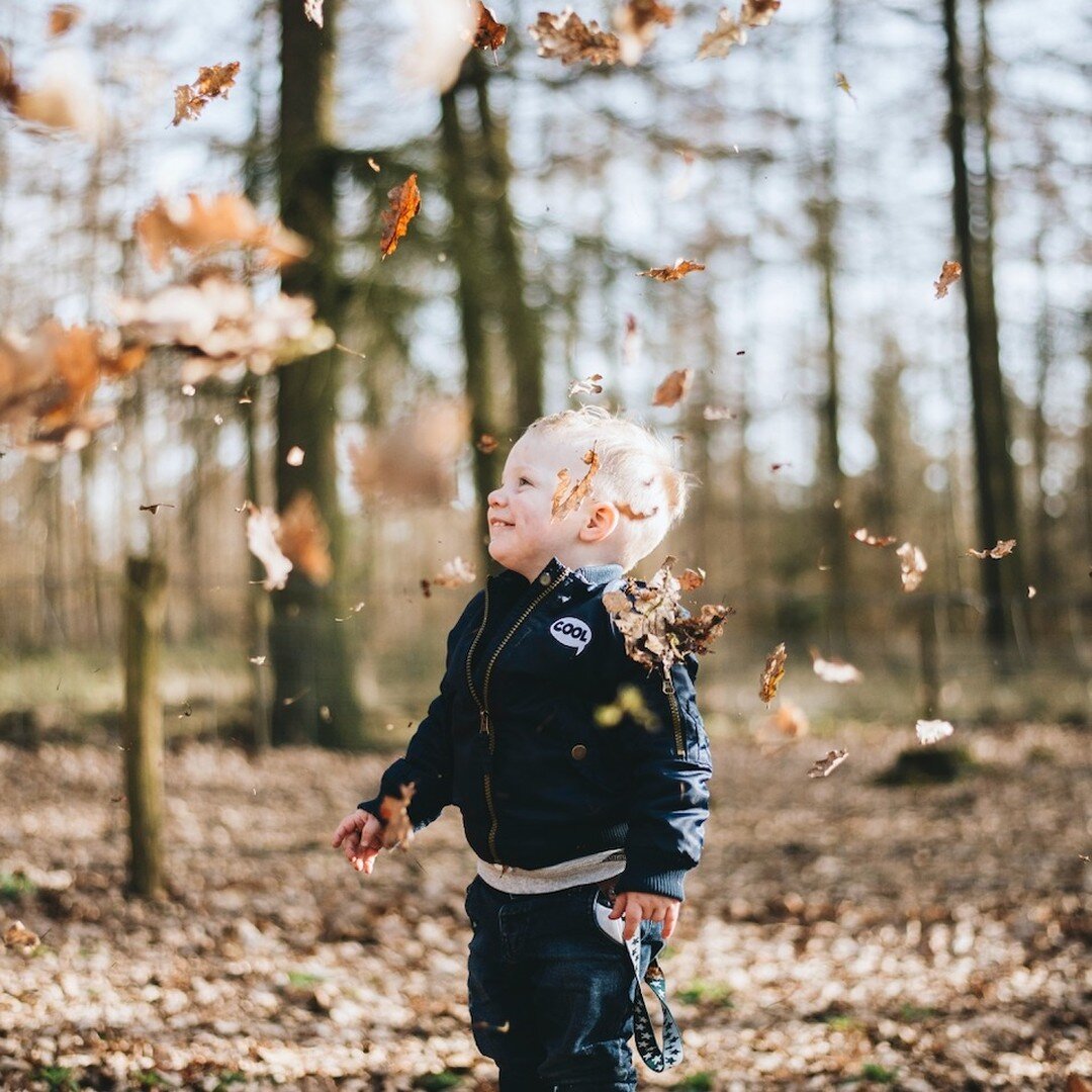 It's the first day of Fall, which means cooler temps to enjoy! Some classic favorites (sensory friendly, of course) activities are playing in the leaves, carving pumpkins, baking seasonal treats, and more! Does your child have favorite fall activitie