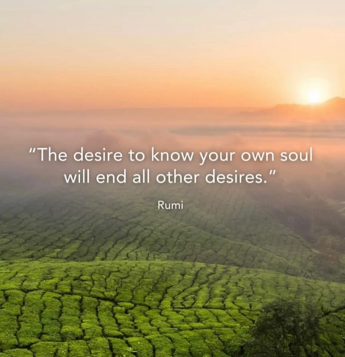 The practice of opening the Akashic Records brings you into a closer relationship with the Divine and your true nature. It allows you to find answers for yourself as guided by your own Soul not someone else. 

Imagine receiving support from higher co